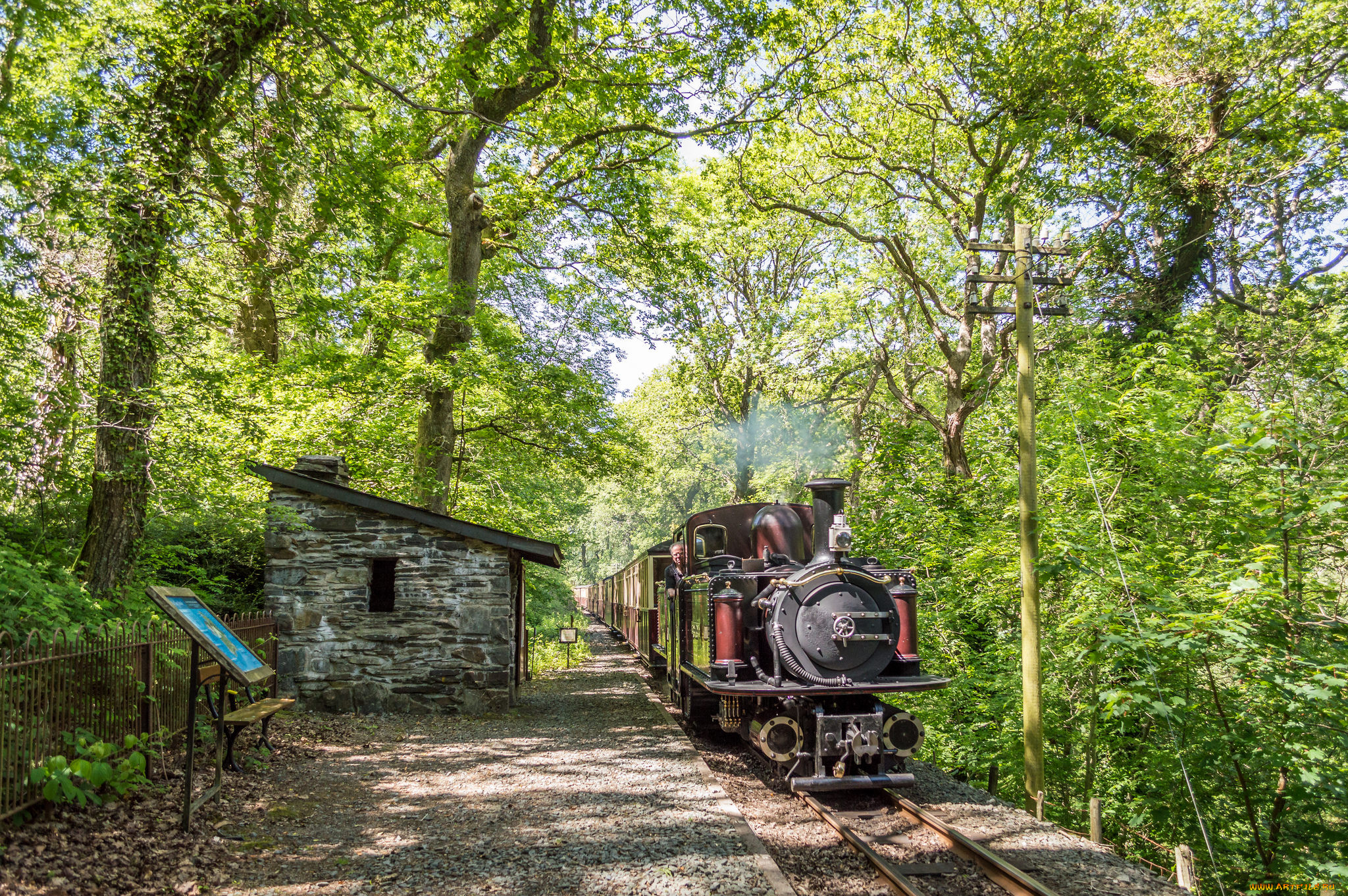 техника, паровозы, паровоз, рельсы