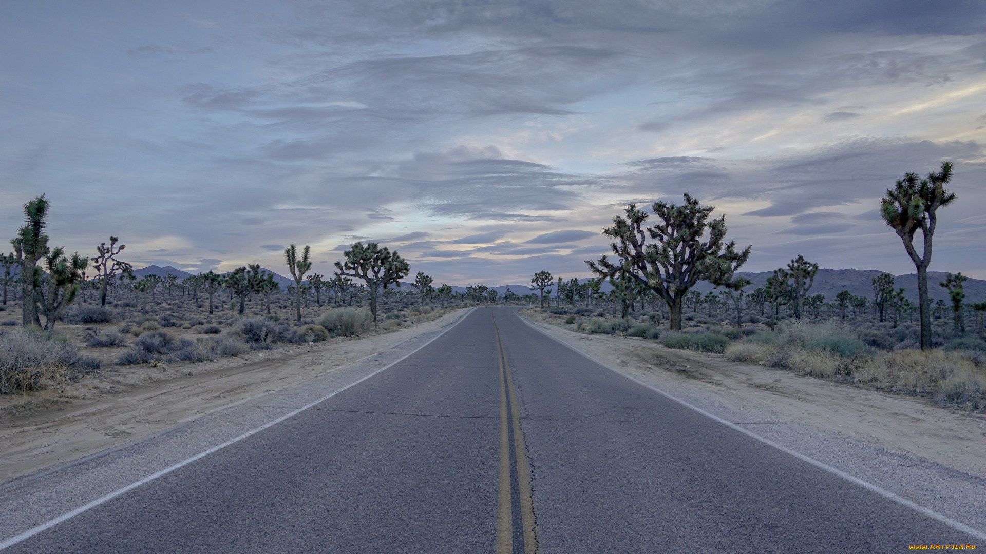 природа, дороги, логотип, фон, взгляд, девушка