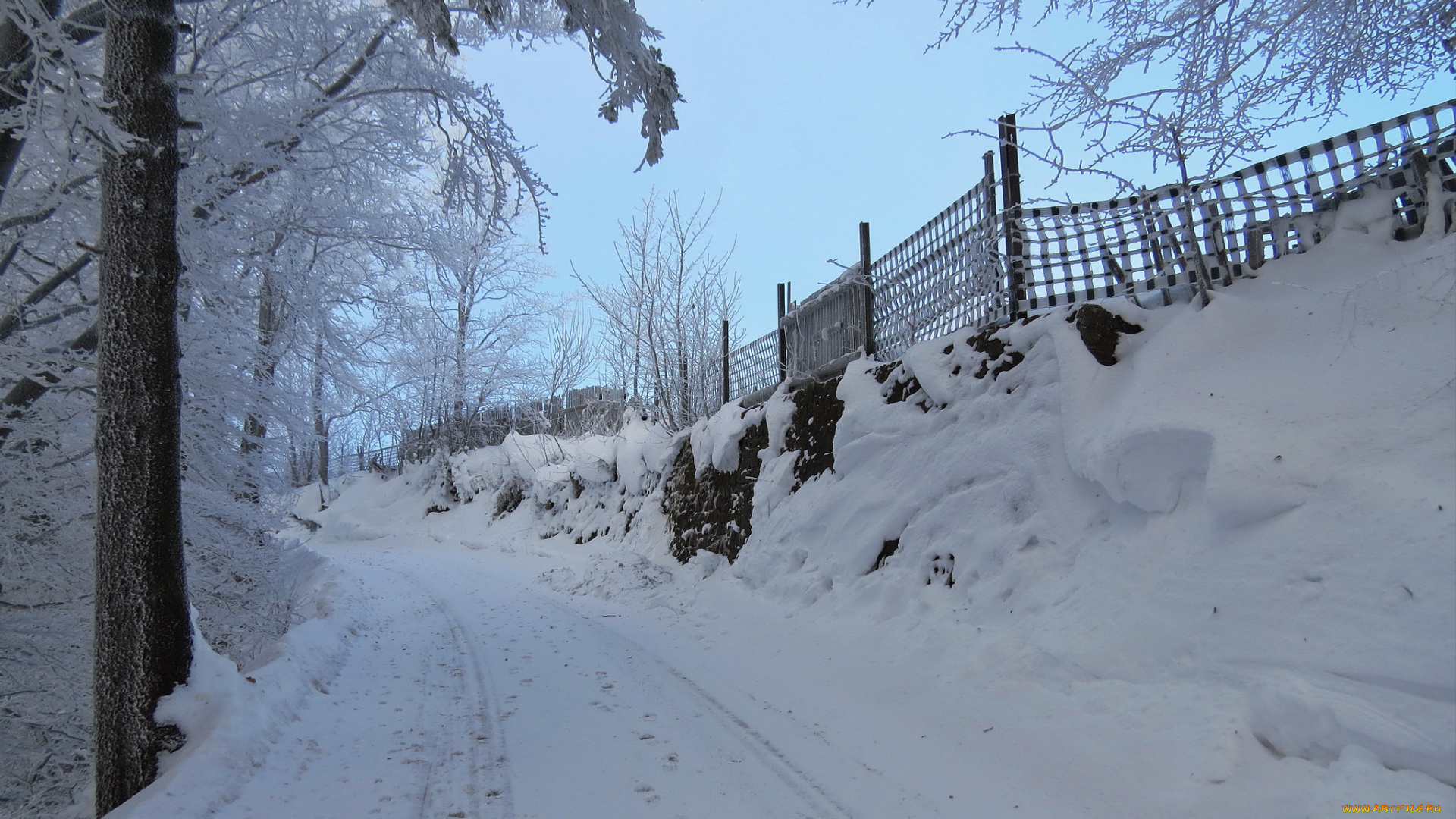 природа, дороги, снег, деревья, дорога