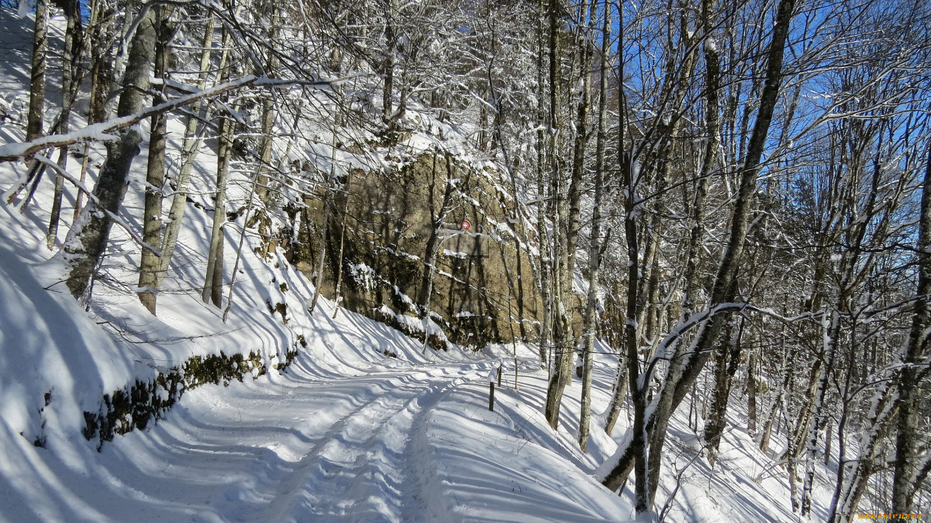 природа, дороги, снег, деревья, дорога
