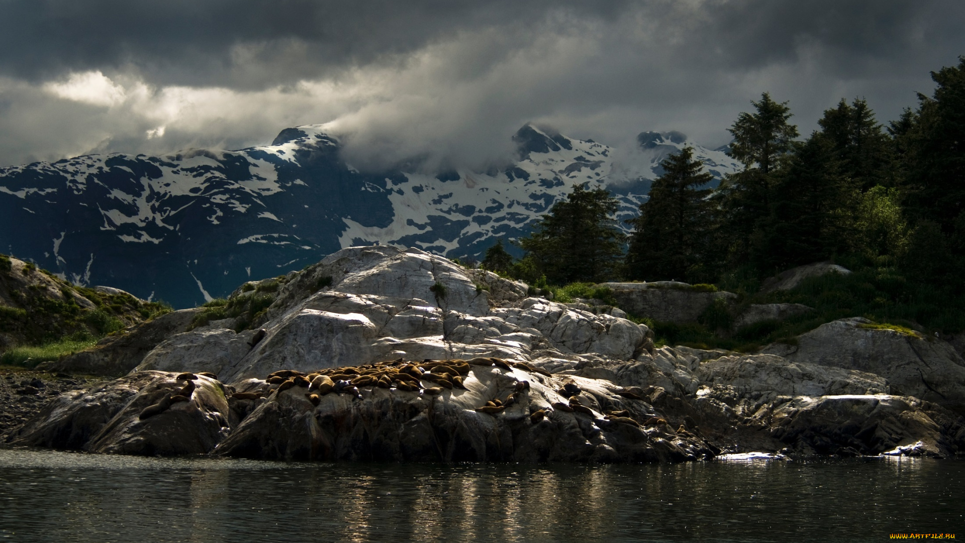 природа, горы, снег