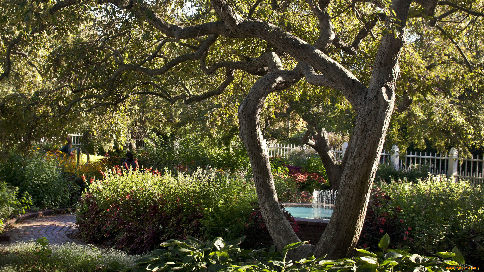 природа, парк, забор, фонтан, сад, деревья, кусты, дорожка