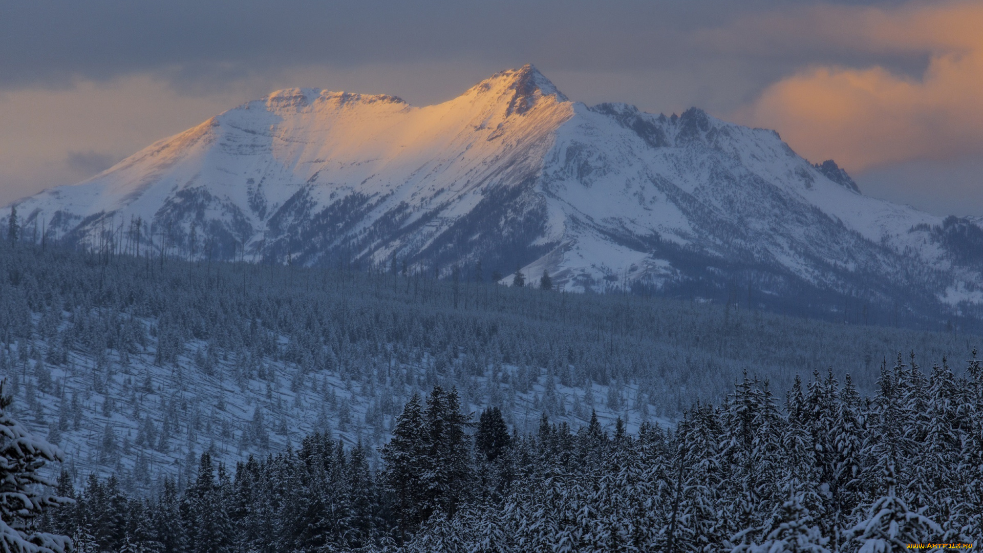 природа, пейзажи, горы, лес, снег