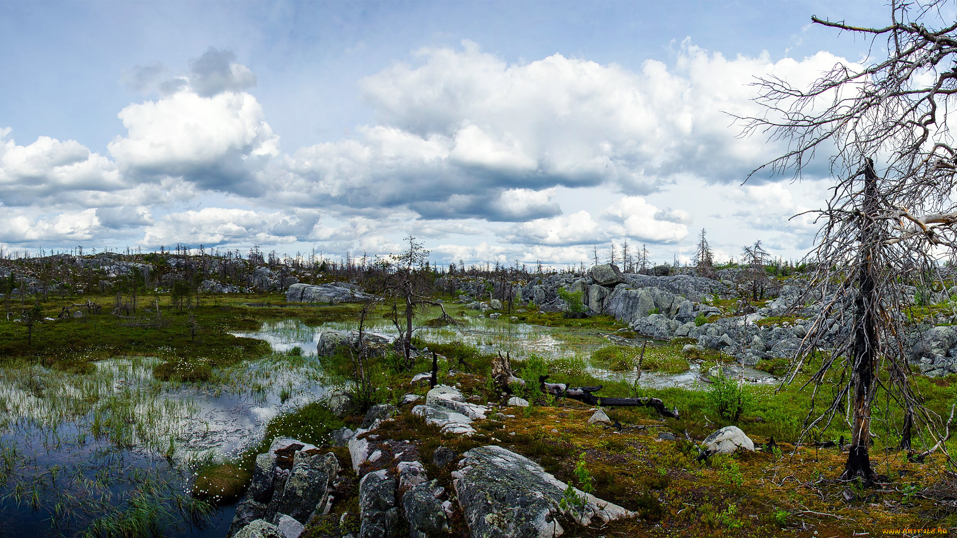 природа, пейзажи, природы, родной, красоты