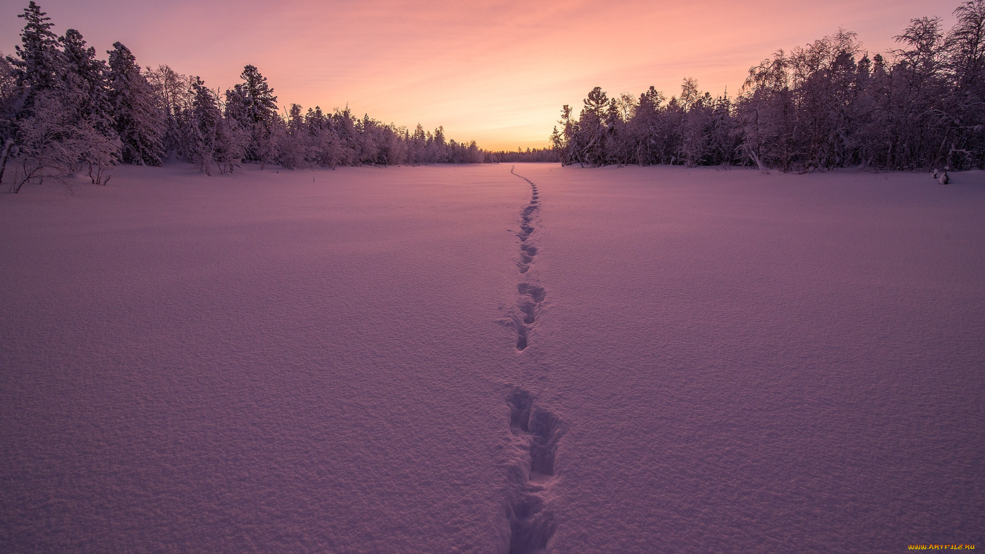 природа, восходы, закаты, закат, снег, зима, след