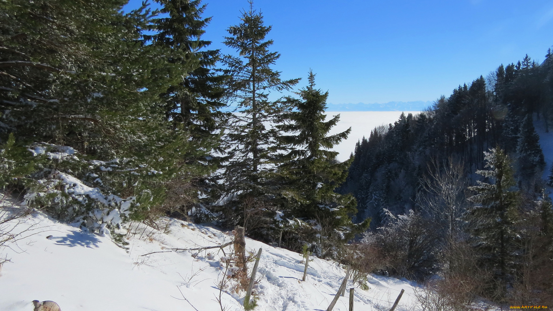 природа, зима, снег, деревья