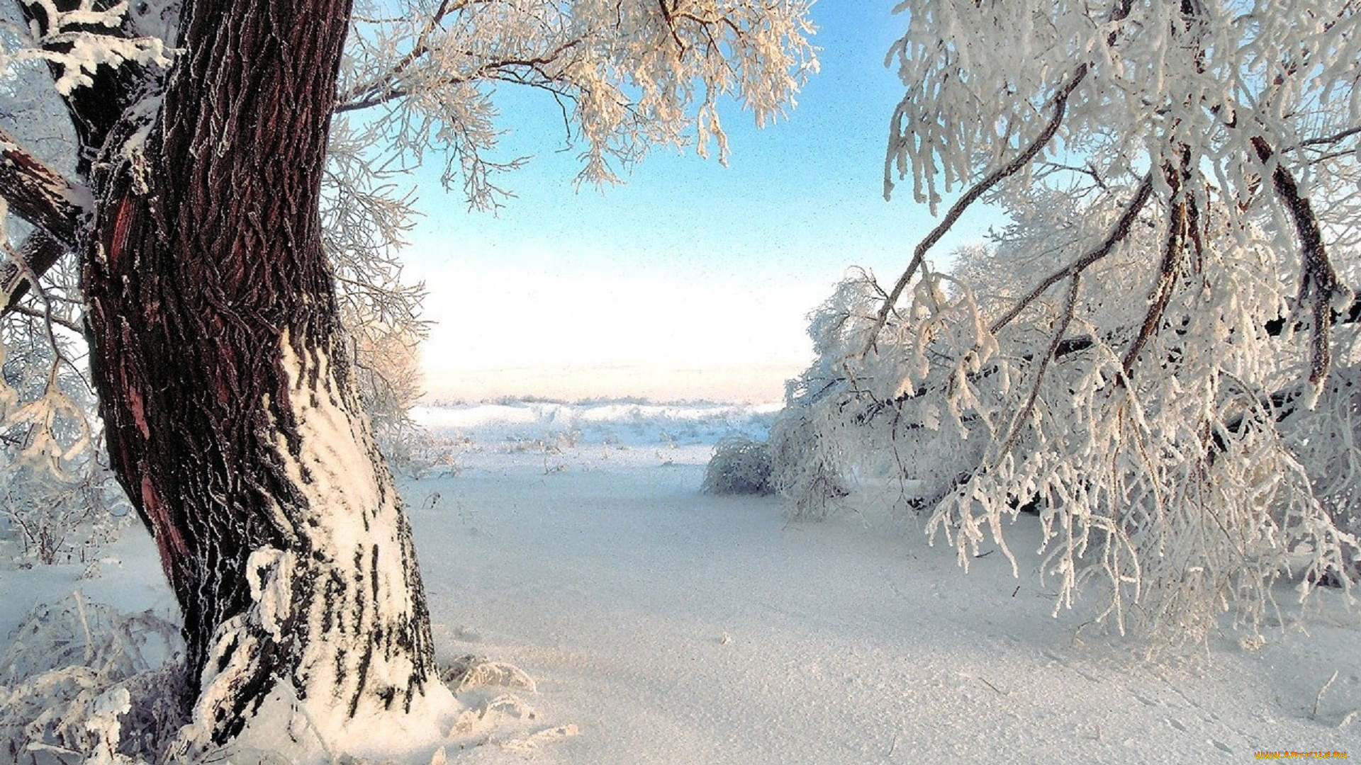 природа, зима, снег, сугробы