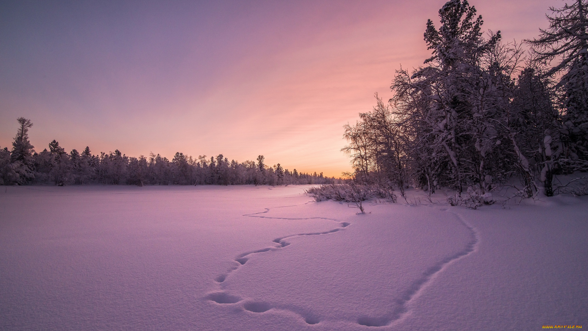 природа, зима, закат, снег, поле