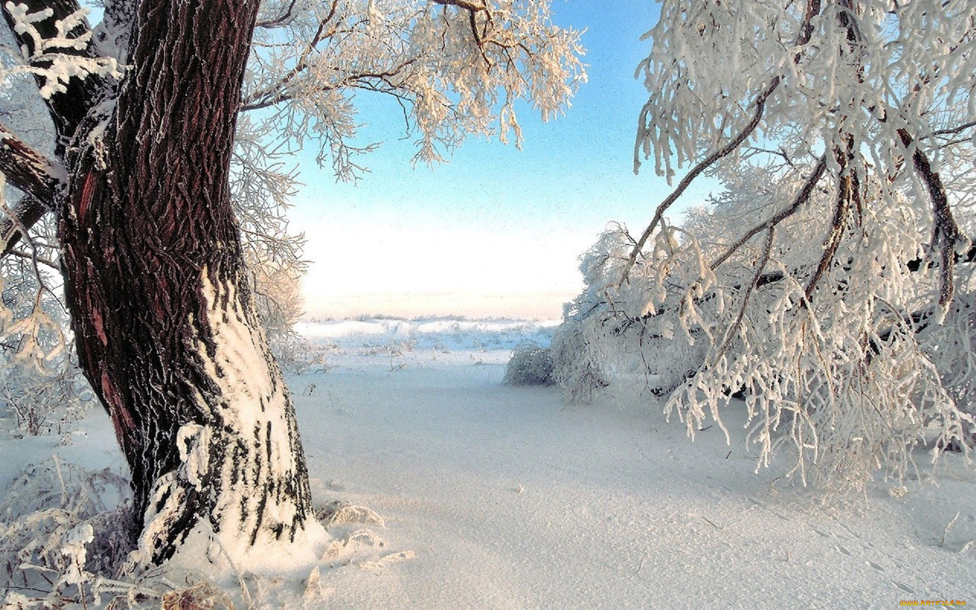 природа, зима, снег, сугробы