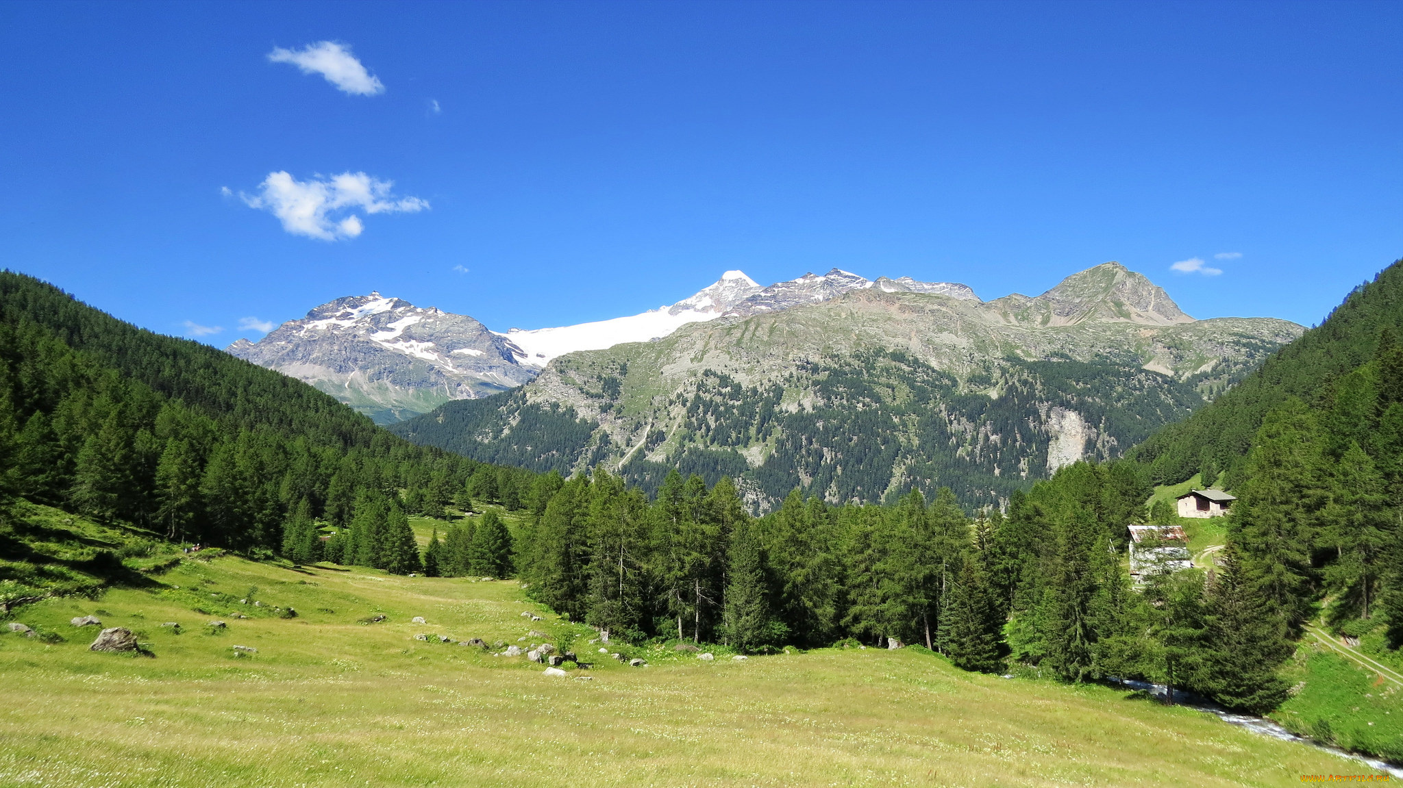 природа, горы, лес