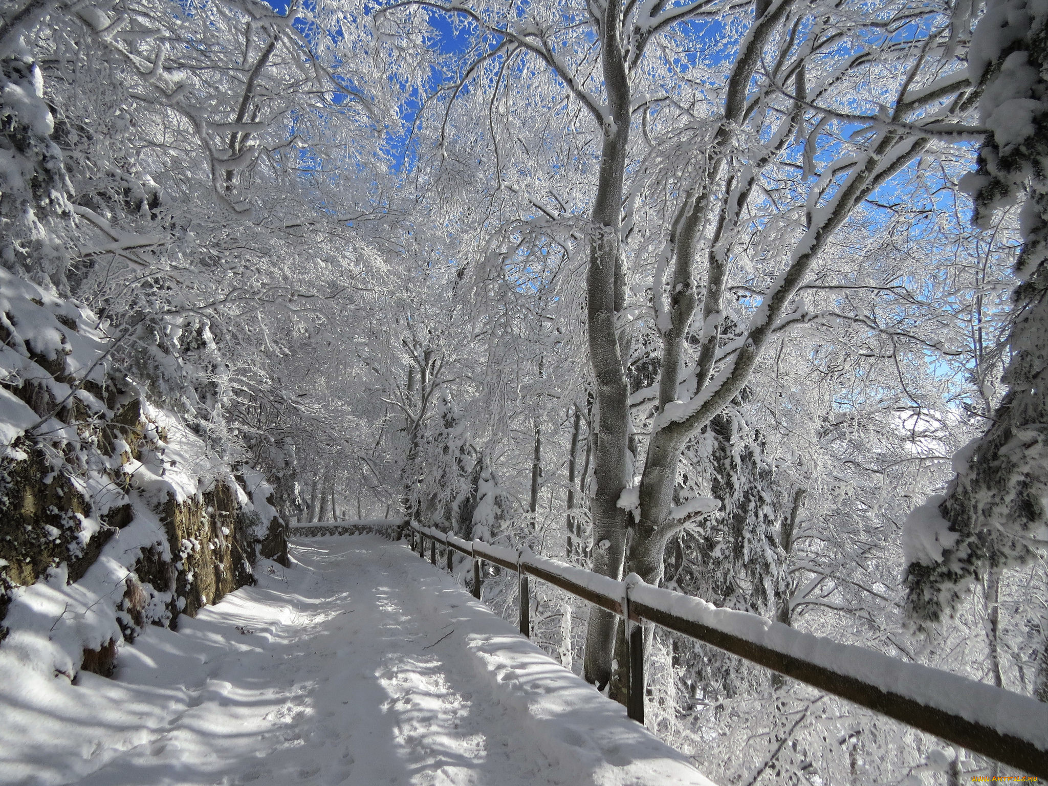 природа, дороги, снег, деревья, дорога