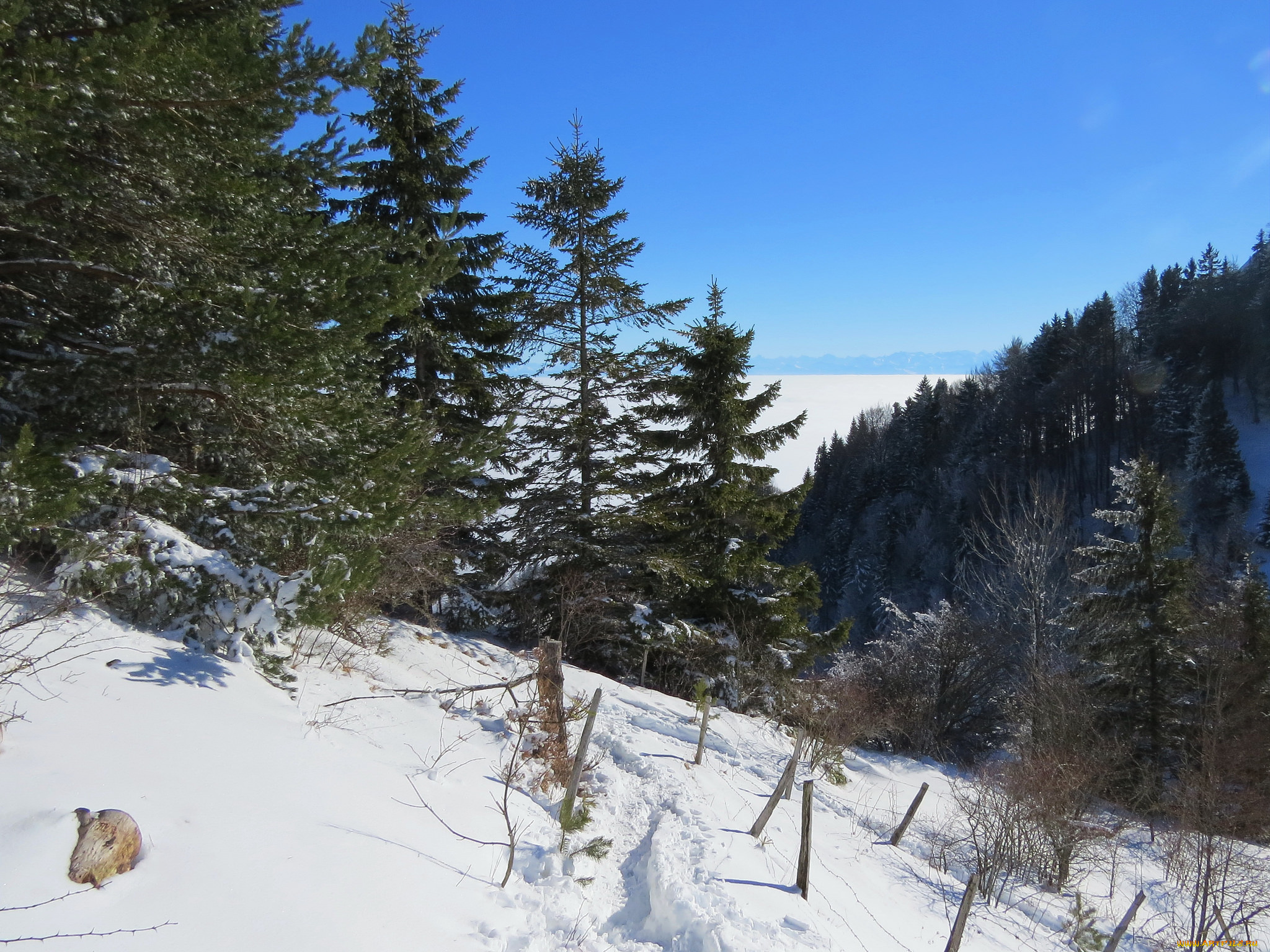 природа, зима, снег, деревья