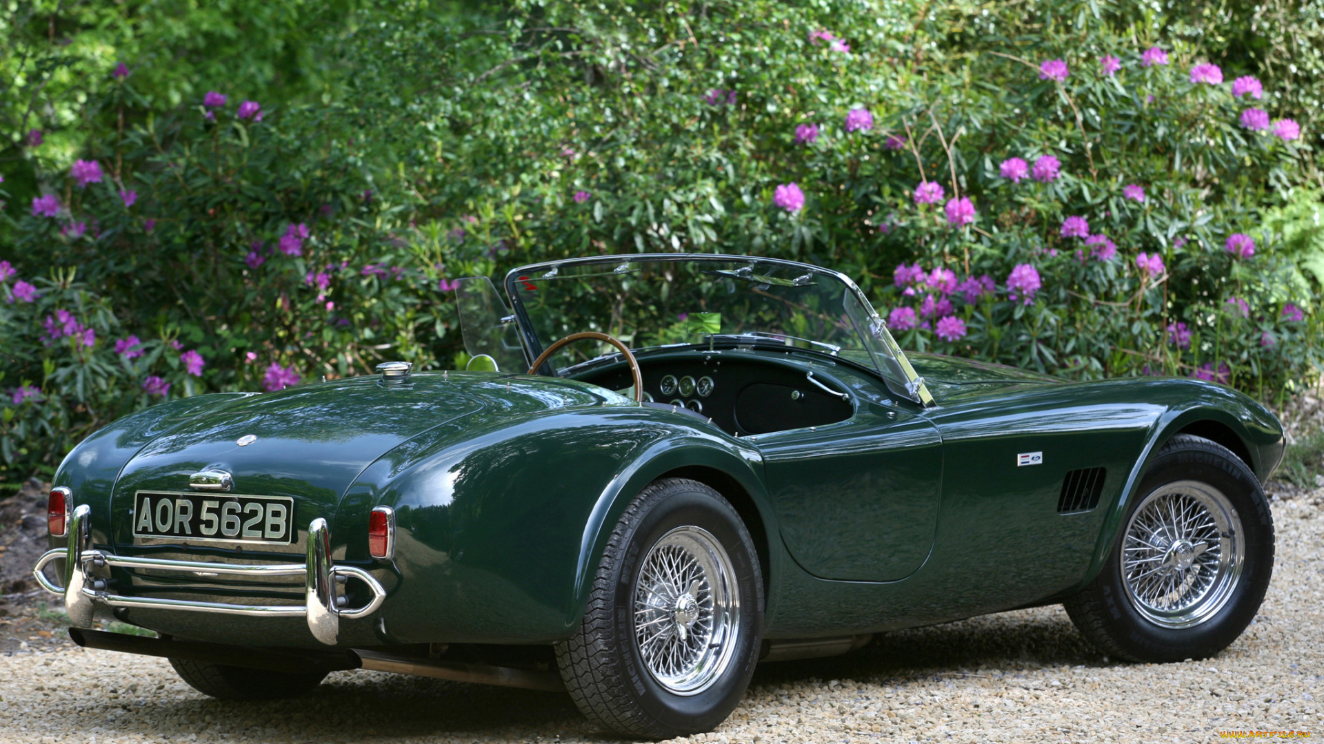 ac, cobra, mkii, 1965, автомобили, ac, cobra, shelby, ac, cobra, mkii, 1965