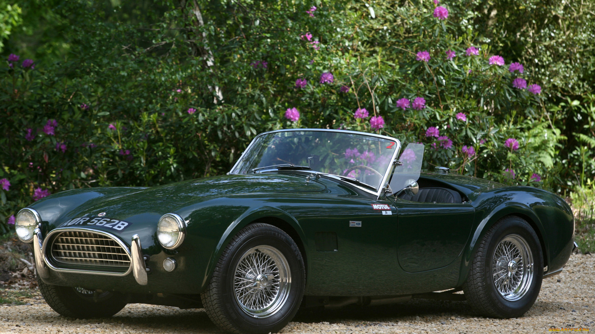 ac, cobra, mkii, 1965, автомобили, ac, cobra, shelby, ac, cobra, mkii, 1965