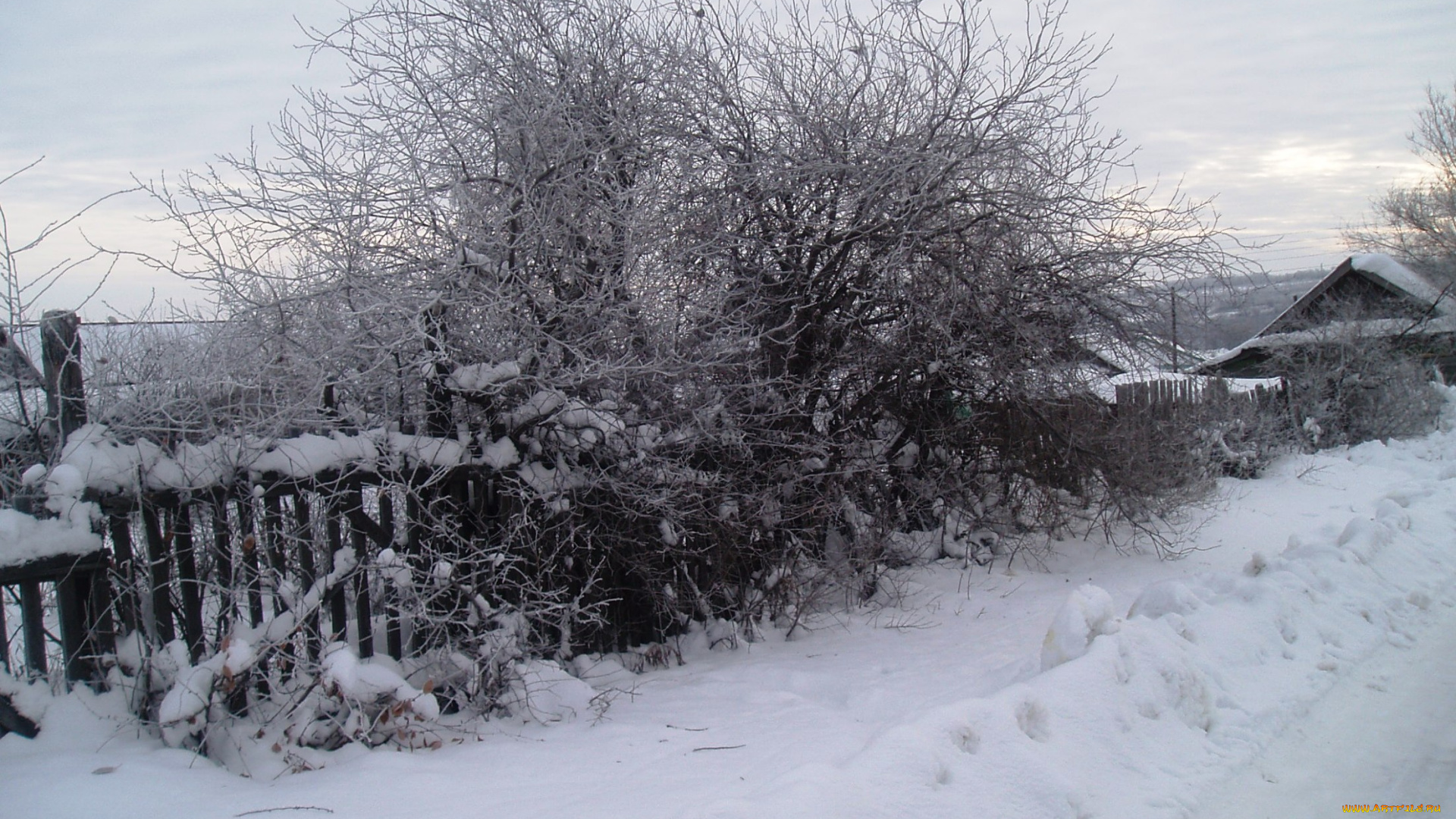 природа, другое, зима