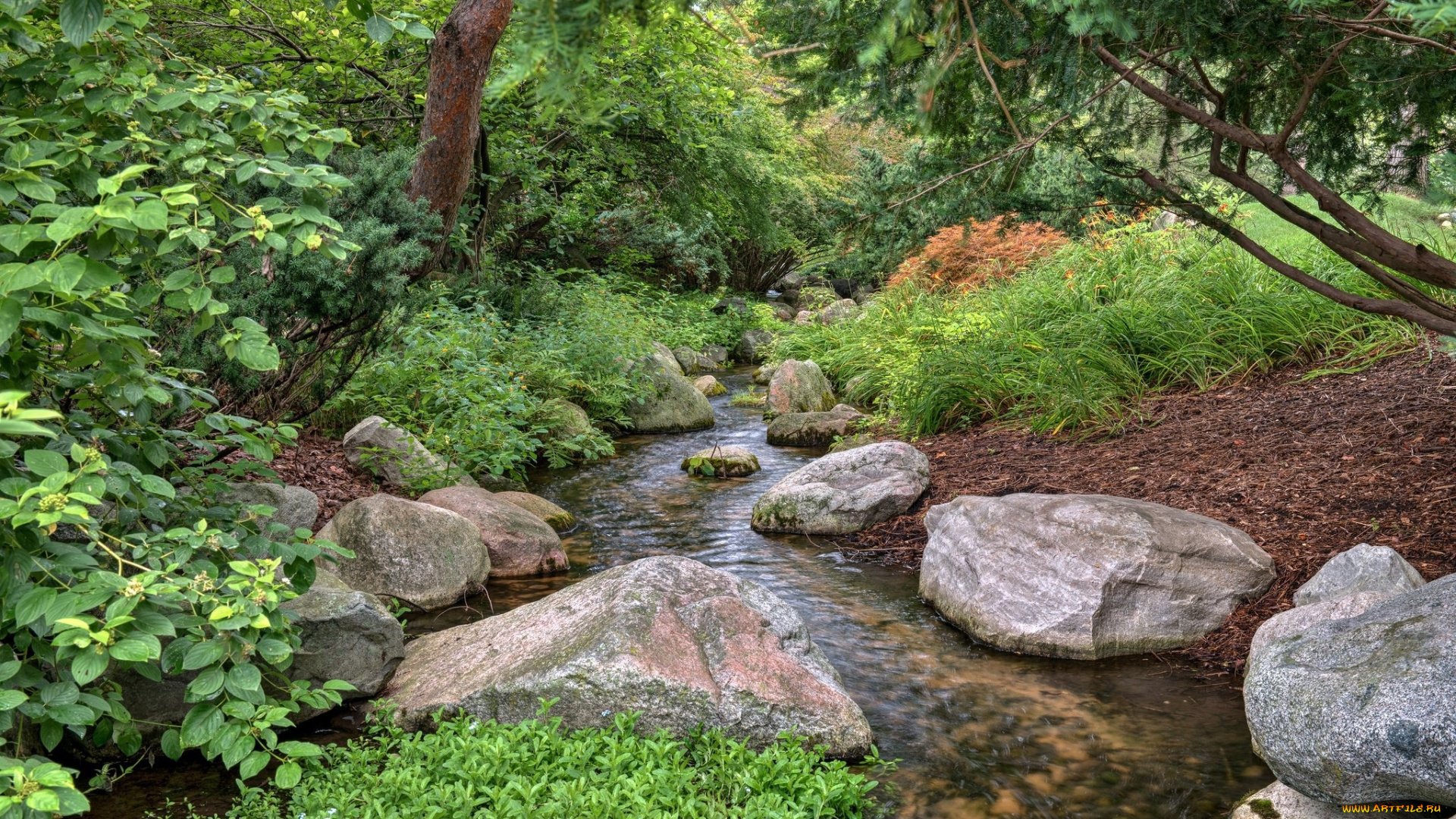 природа, реки, озера, камни, ручей, лес
