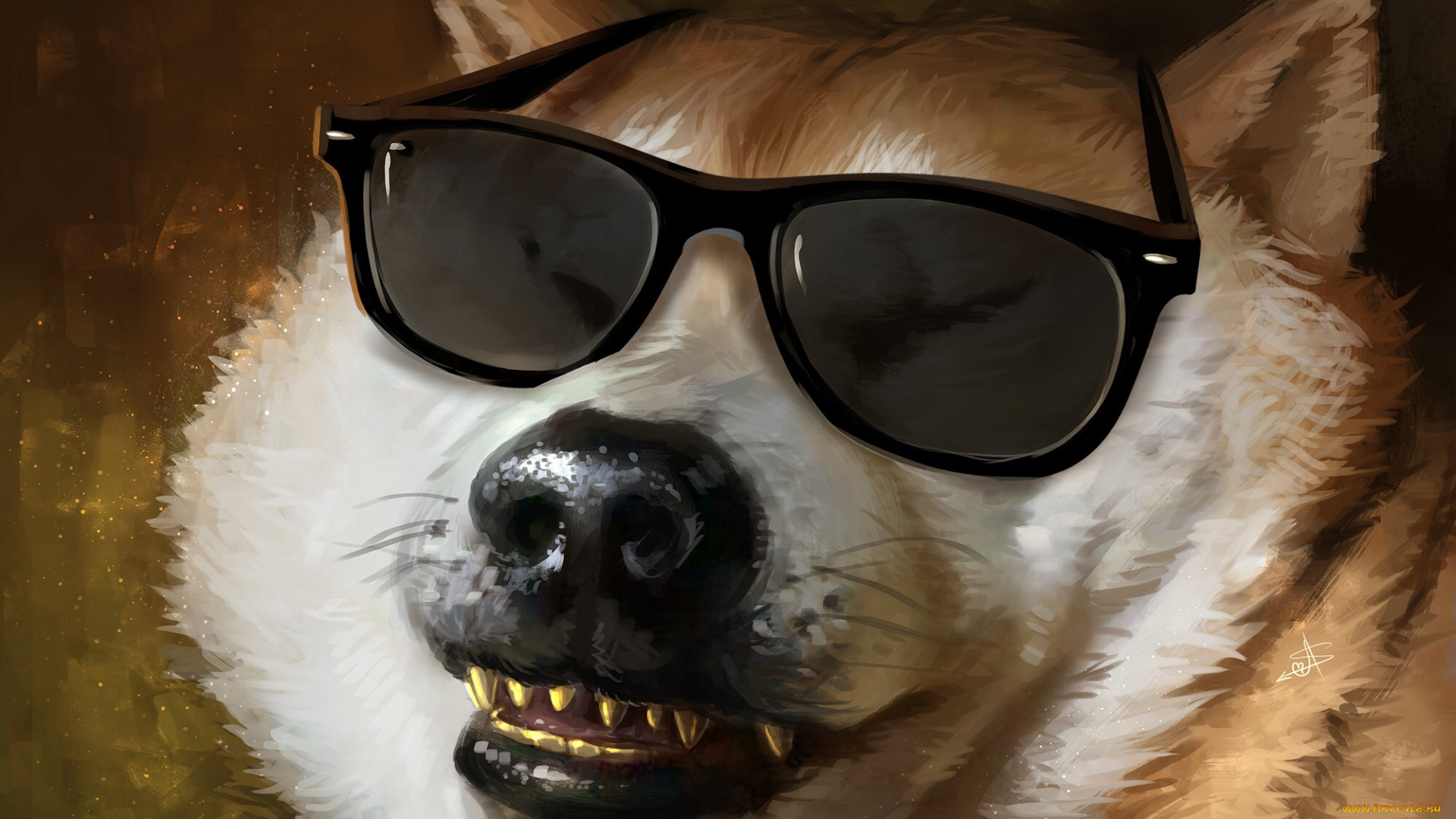 рисованное, животные, очки, фон, собака