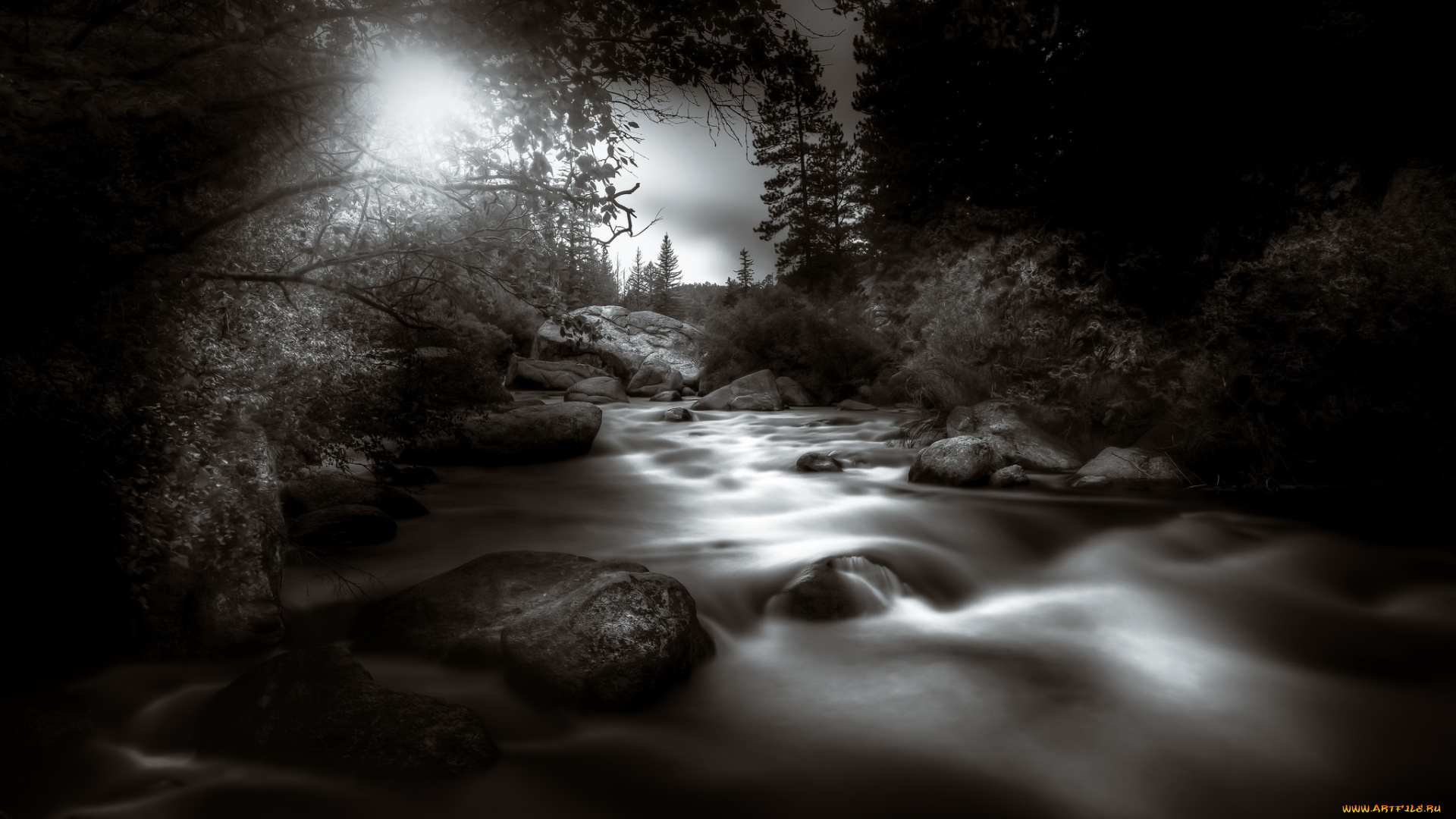 природа, реки, озера, река