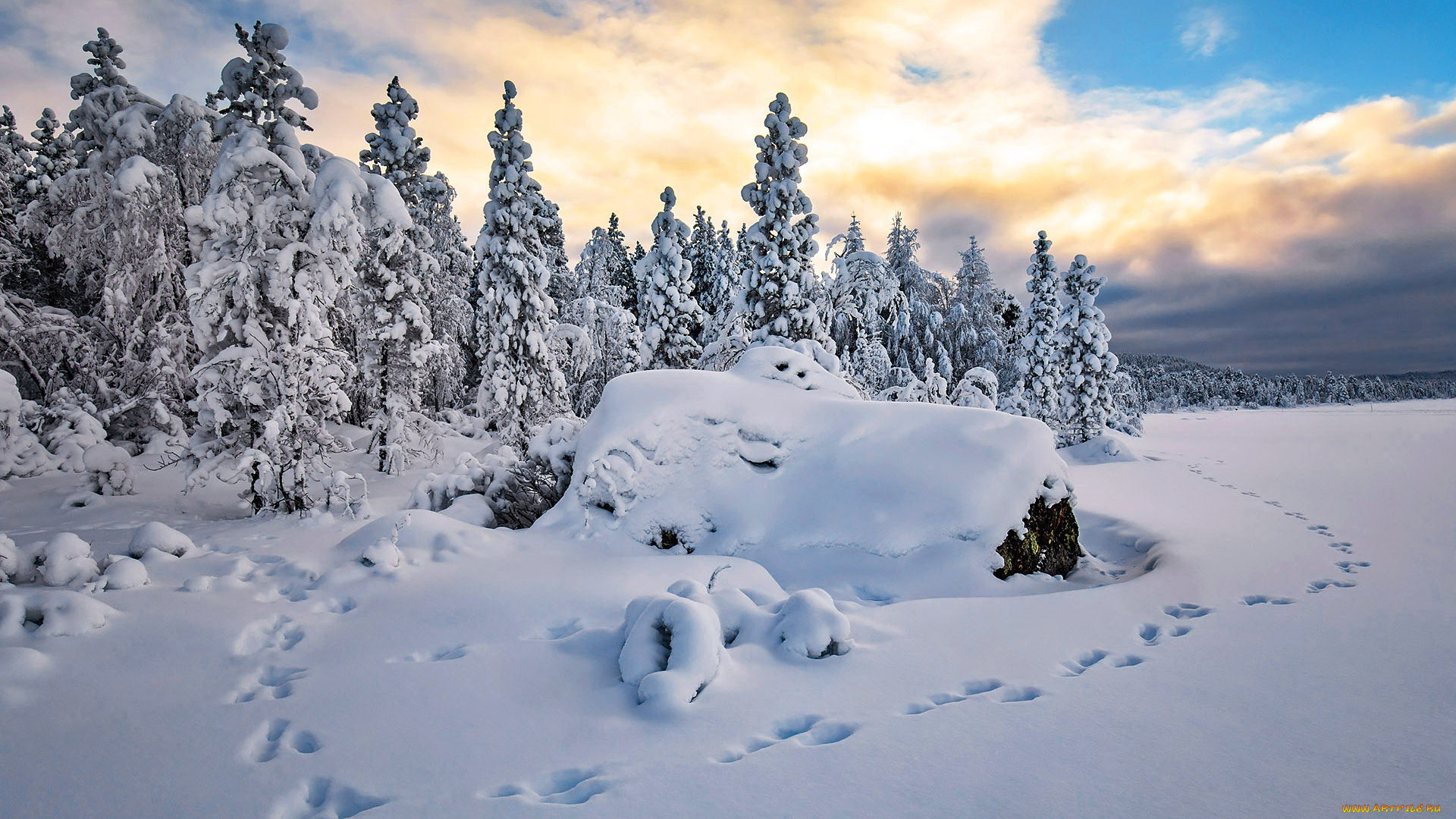 природа, зима, снег