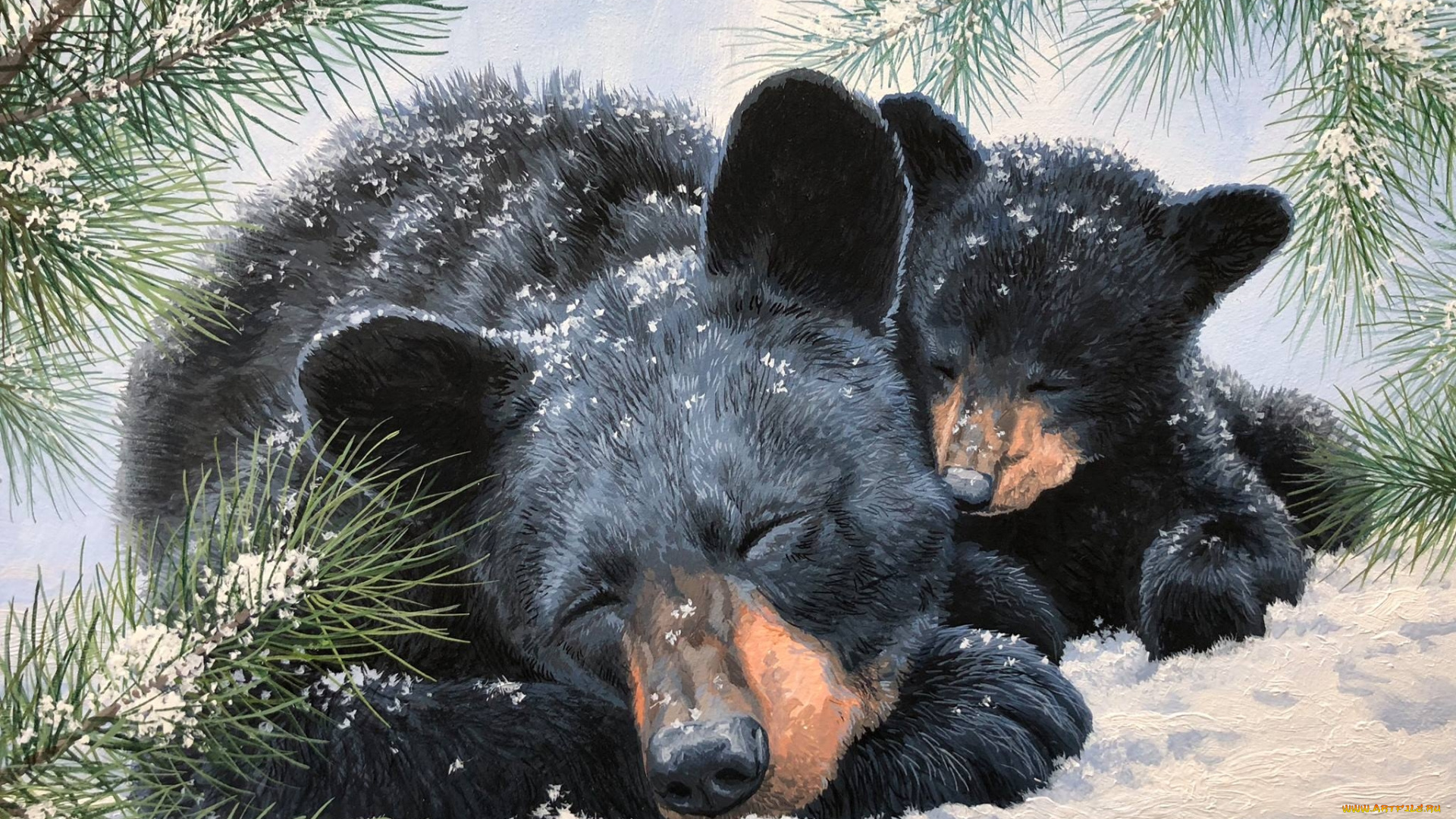 рисованное, животные, , медведи, медведи