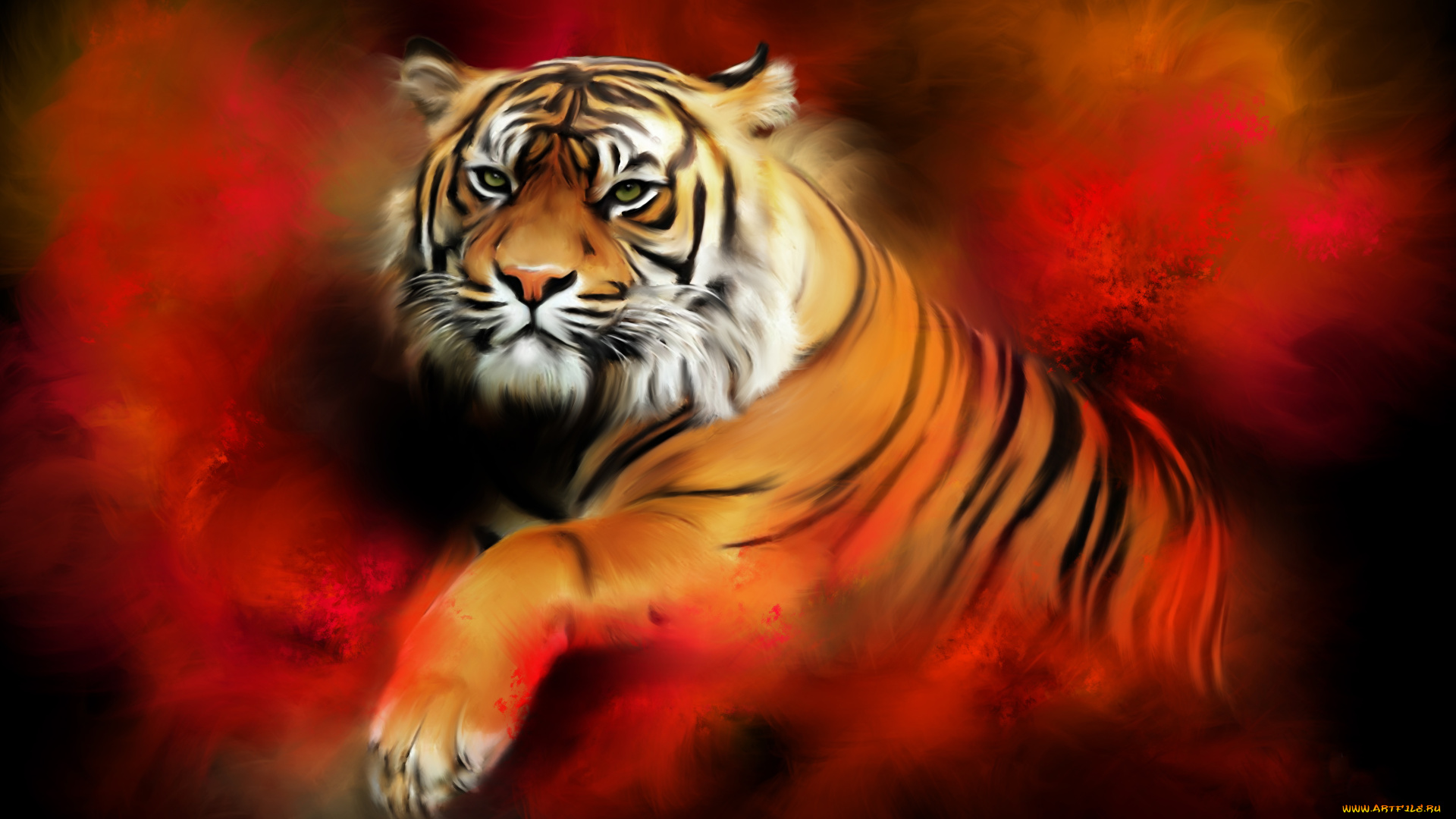 рисованное, животные, , тигры, фон, тигр, взгляд