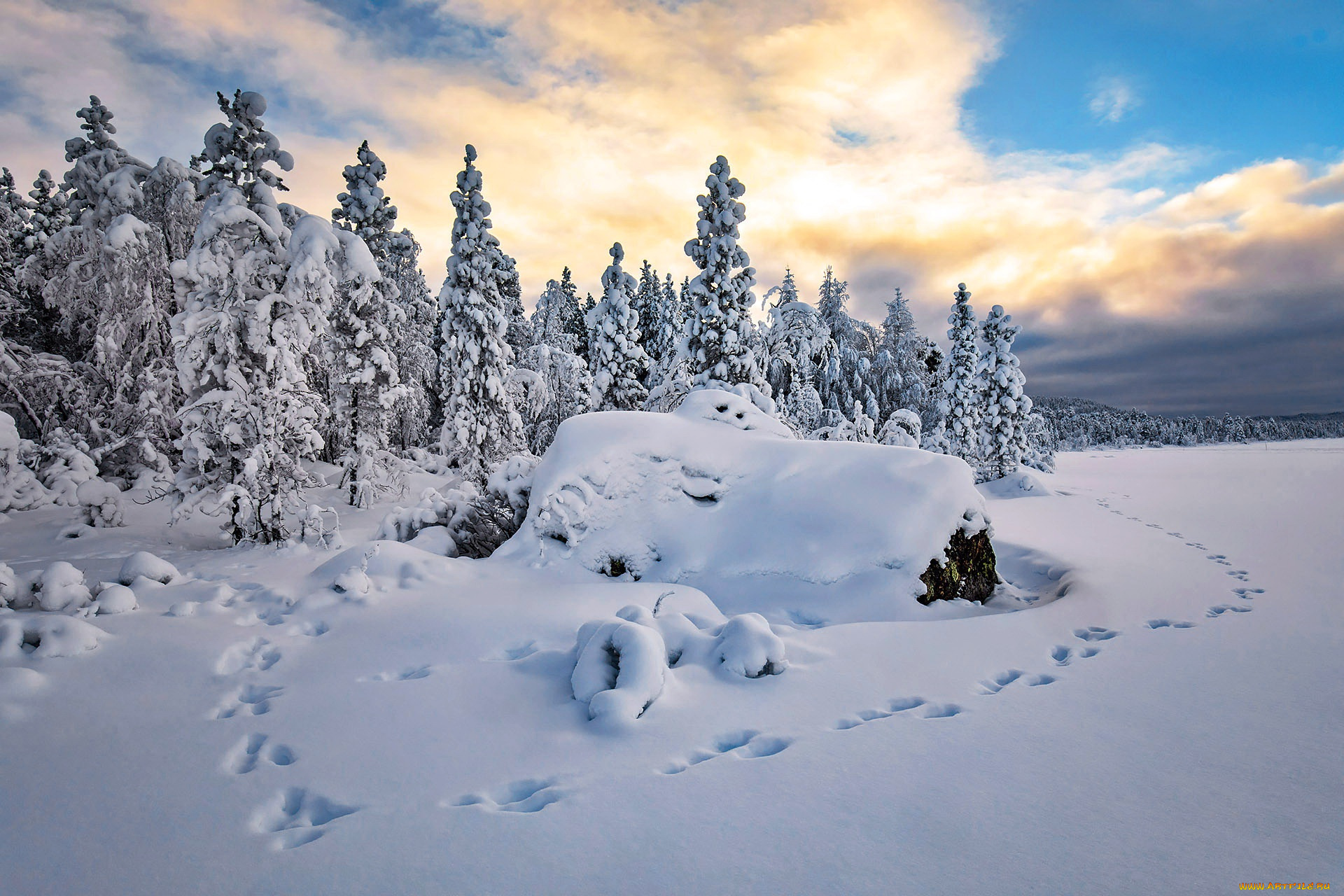 природа, зима, снег