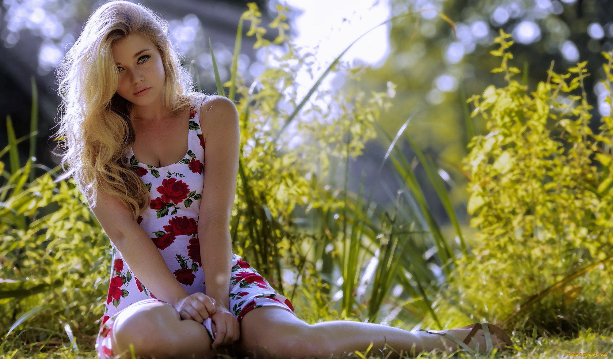 девушка, девушки, -unsort, , блондинки, , светловолосые, модель