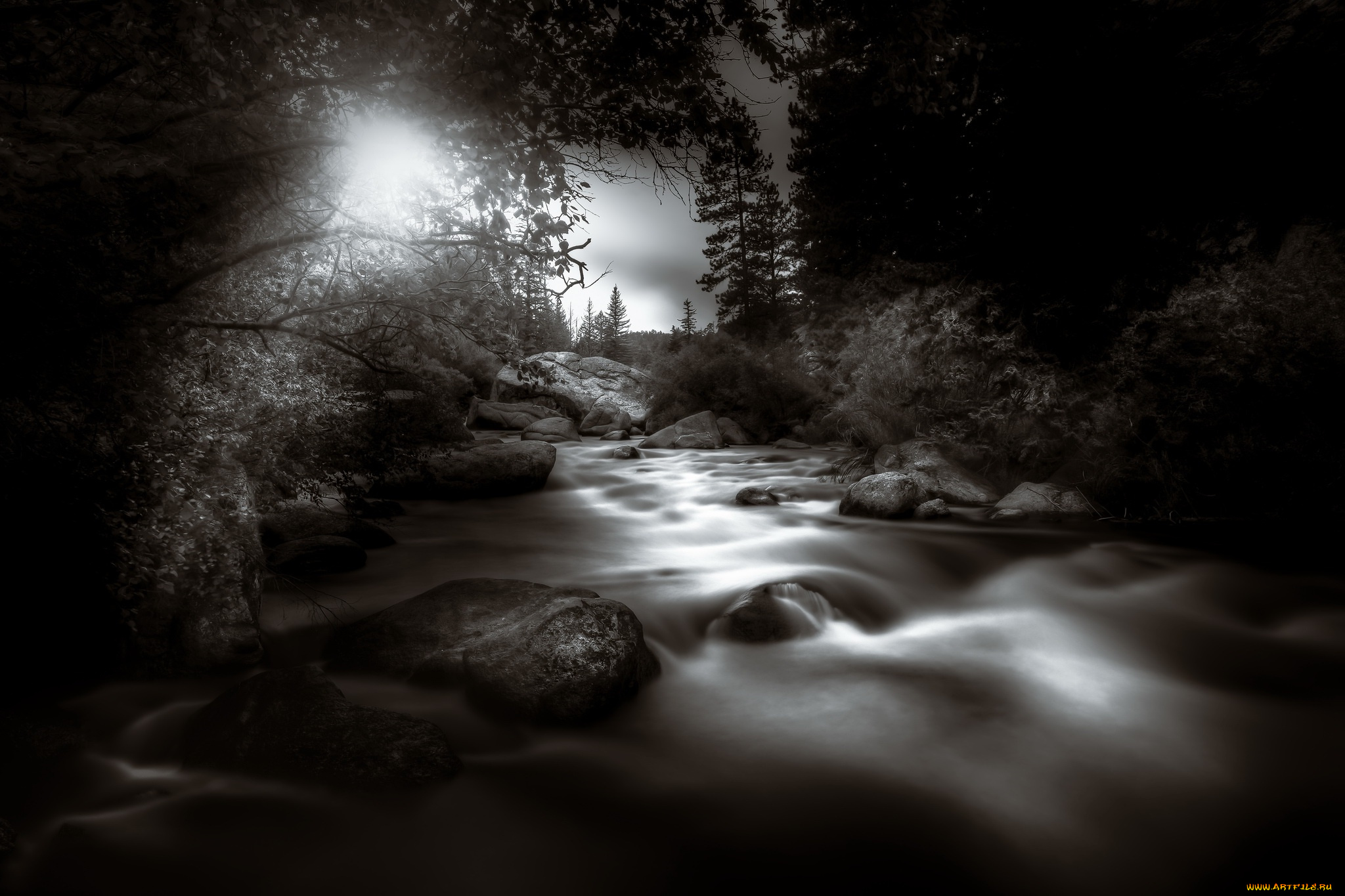 природа, реки, озера, река