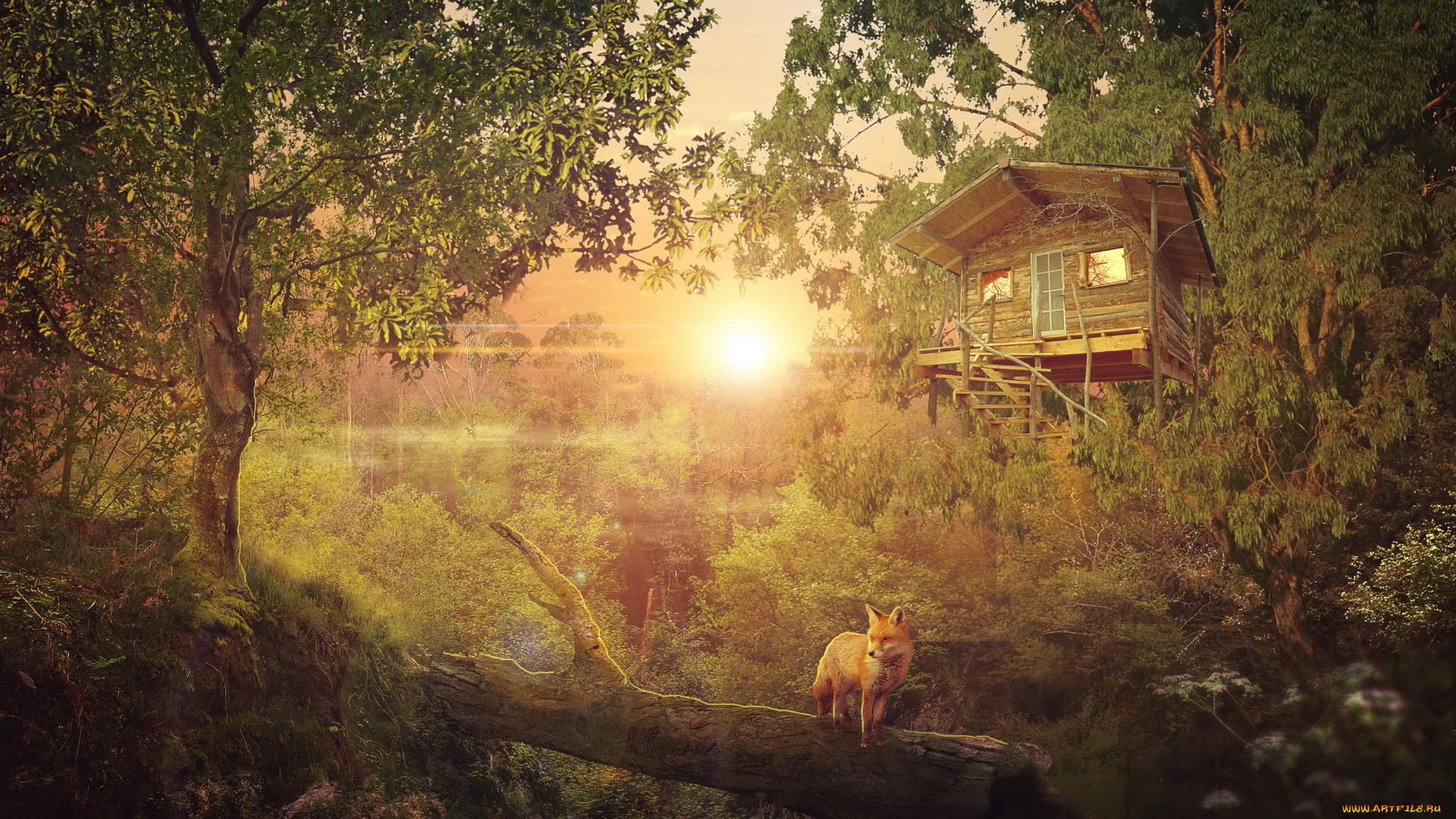 разное, компьютерный, дизайн, фон, лес, лиса, дом