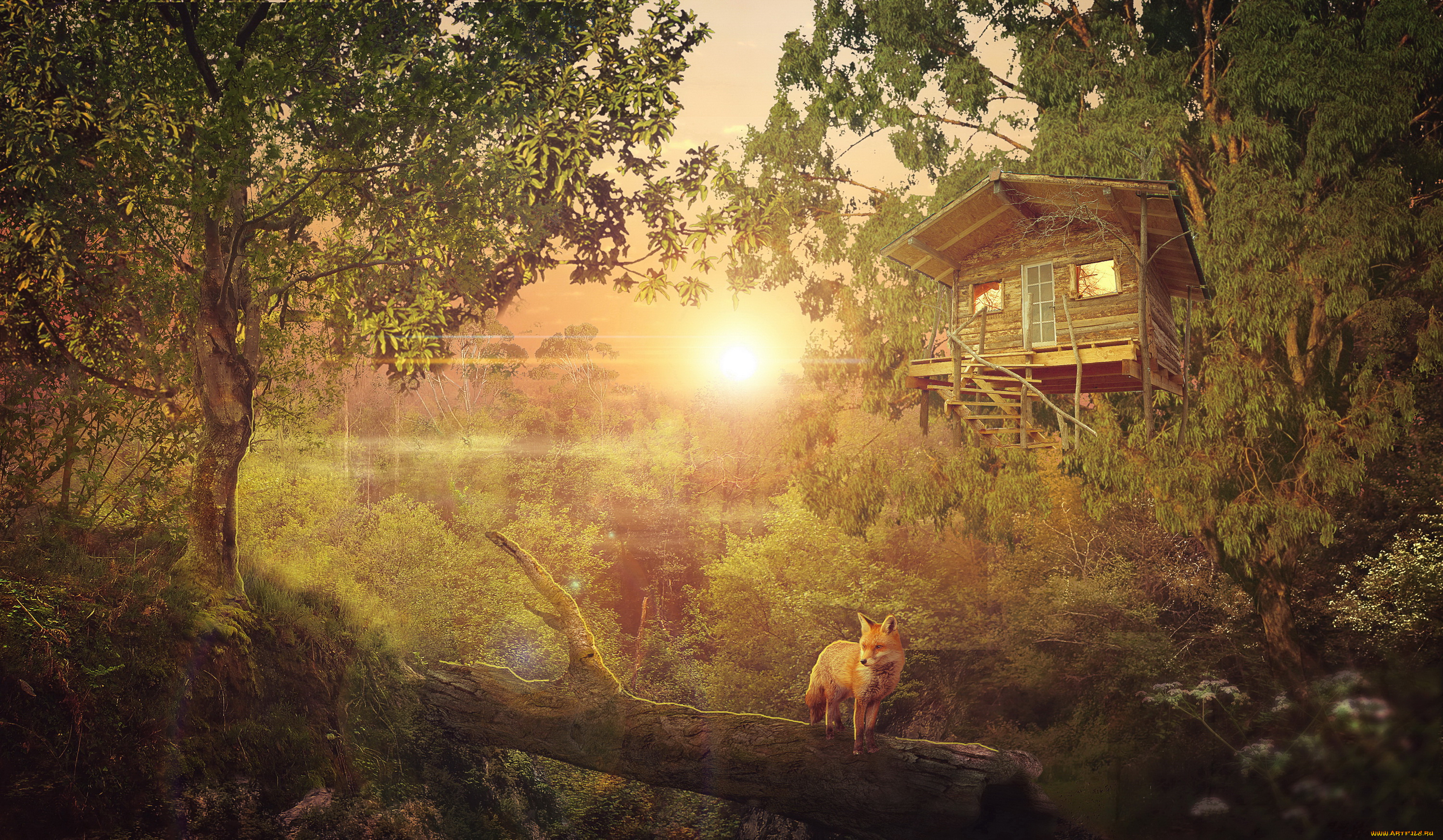 разное, компьютерный, дизайн, фон, лес, лиса, дом