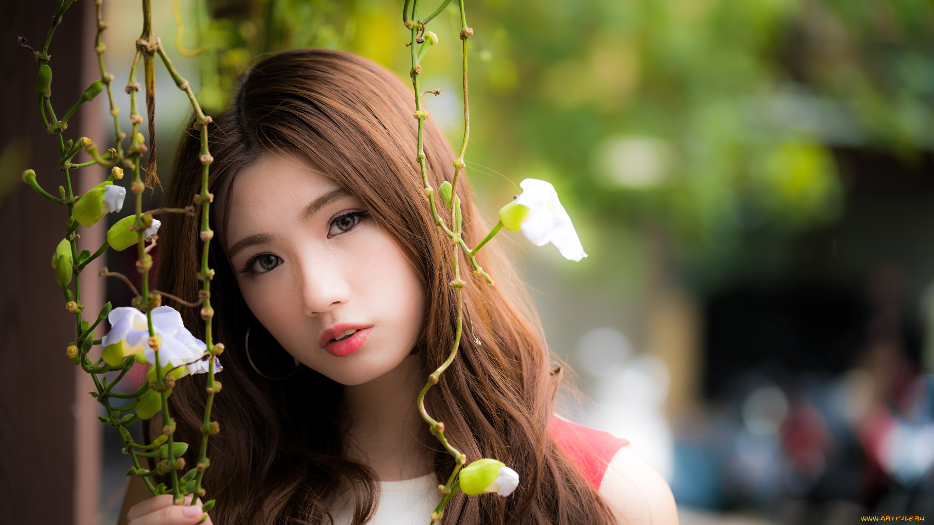 красотка, девушки, -, азиатки, девушка, красивая, супер, секси, няша, нежная, классная, модница, лапочка, мадам