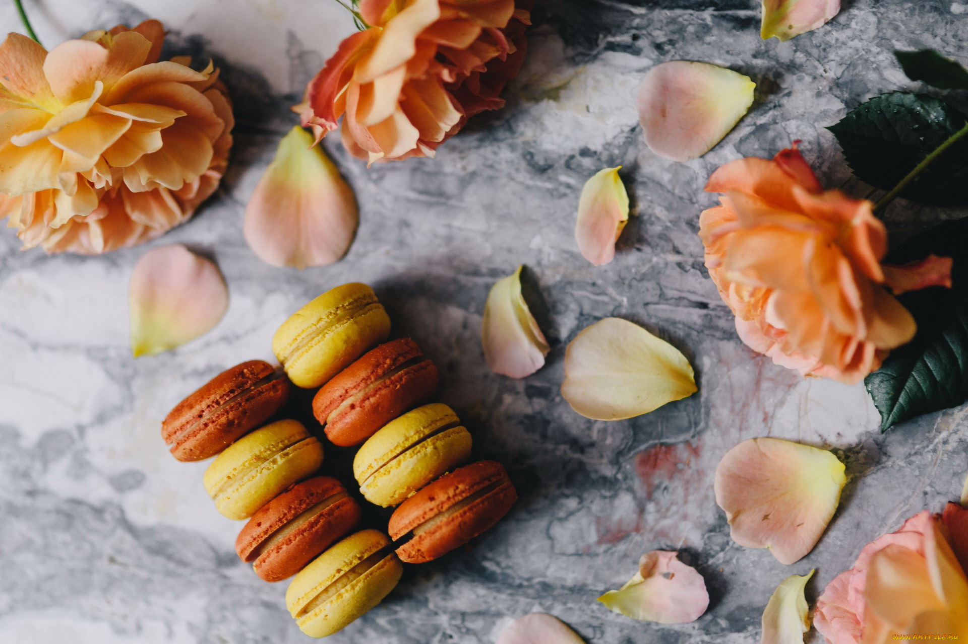 еда, макаруны, лакомство, печенье, лепестки, розы