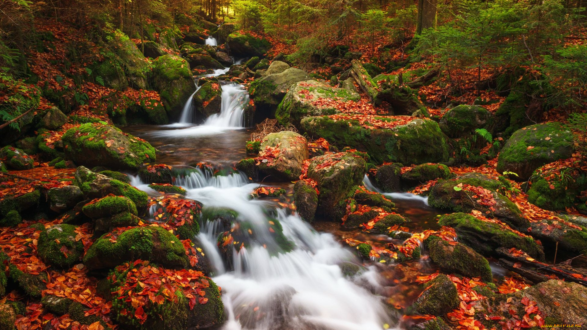 waterfall, in, sumava, np, south, bohemia, czech, republic, природа, водопады, waterfall, in, sumava, np, south, bohemia, czech, republic