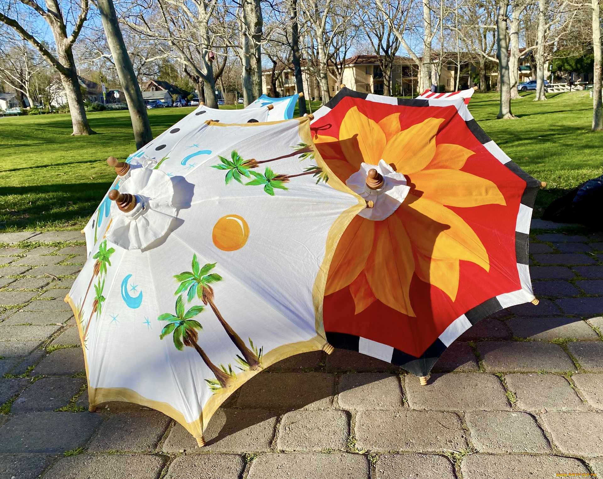 разное, сумки, , кошельки, , зонты, зонты