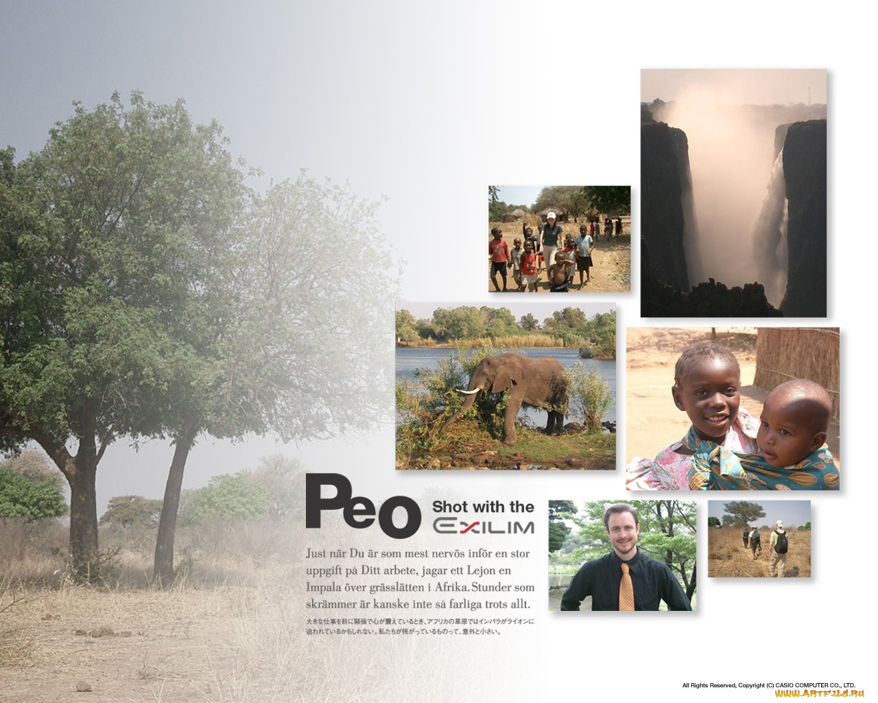 бренды, exilim