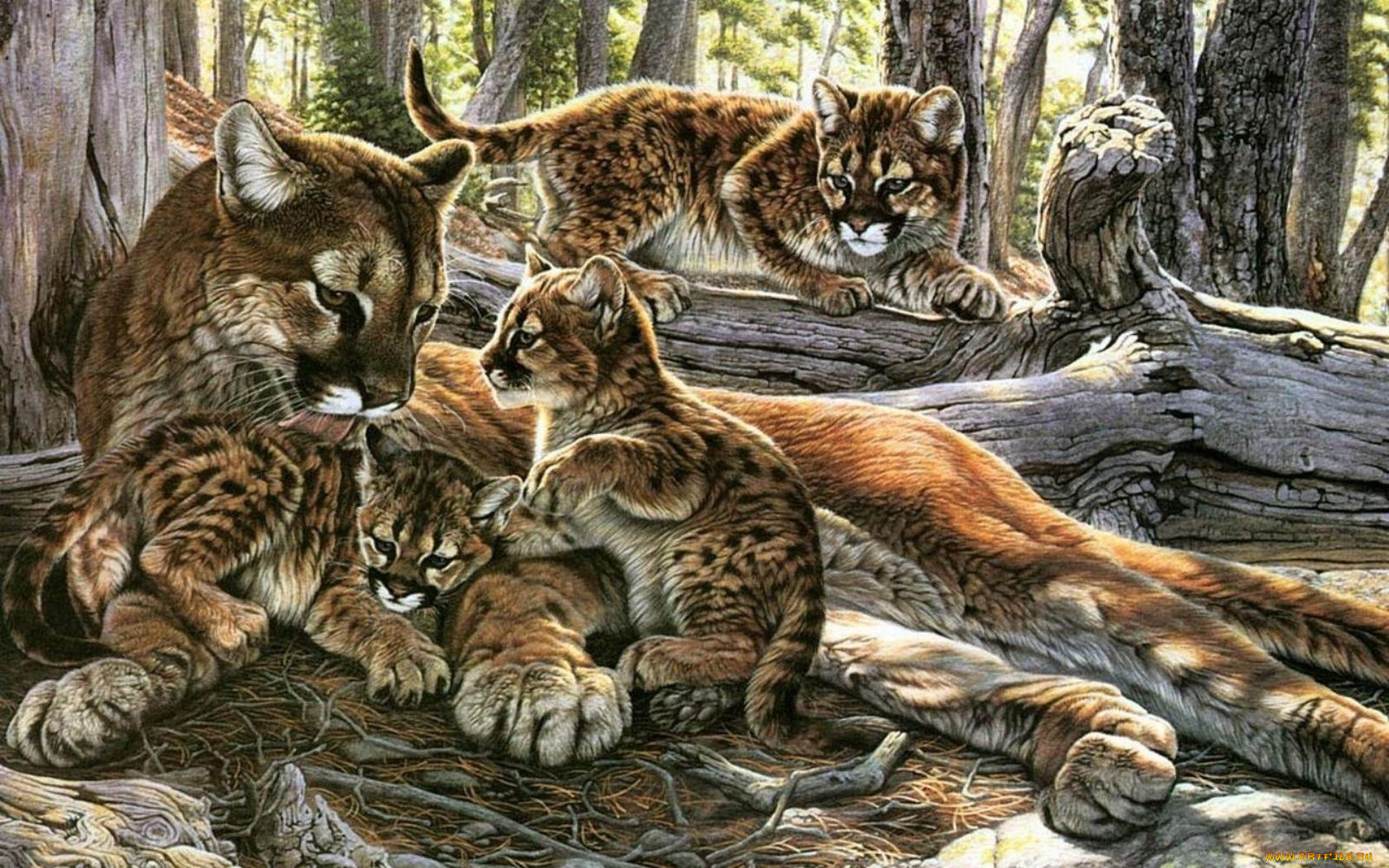 рисованные, животные