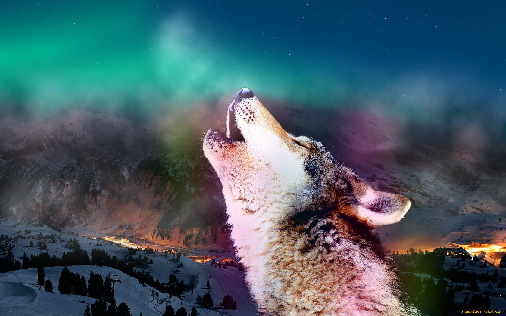 животные, волки