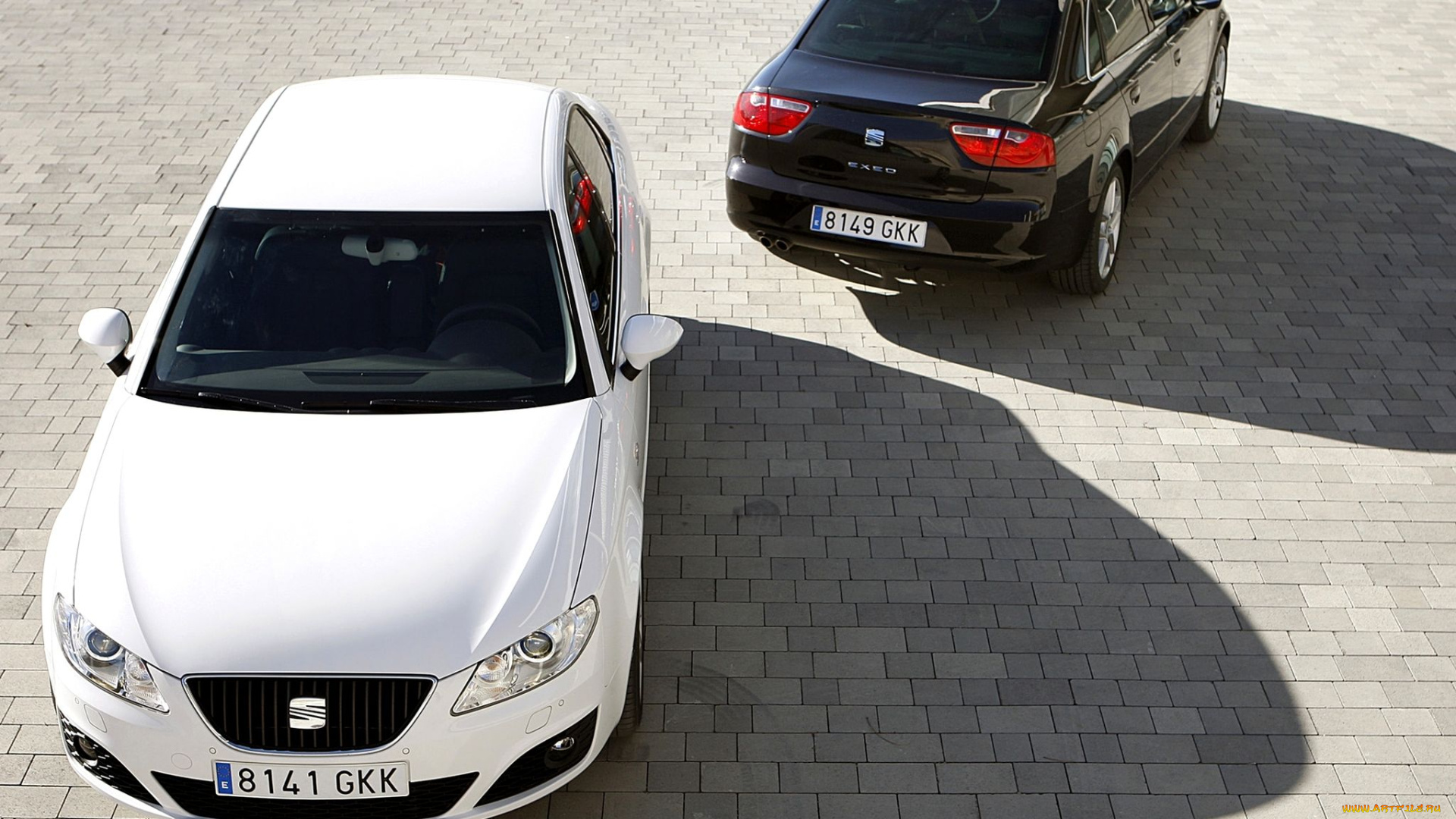 автомобили, seat