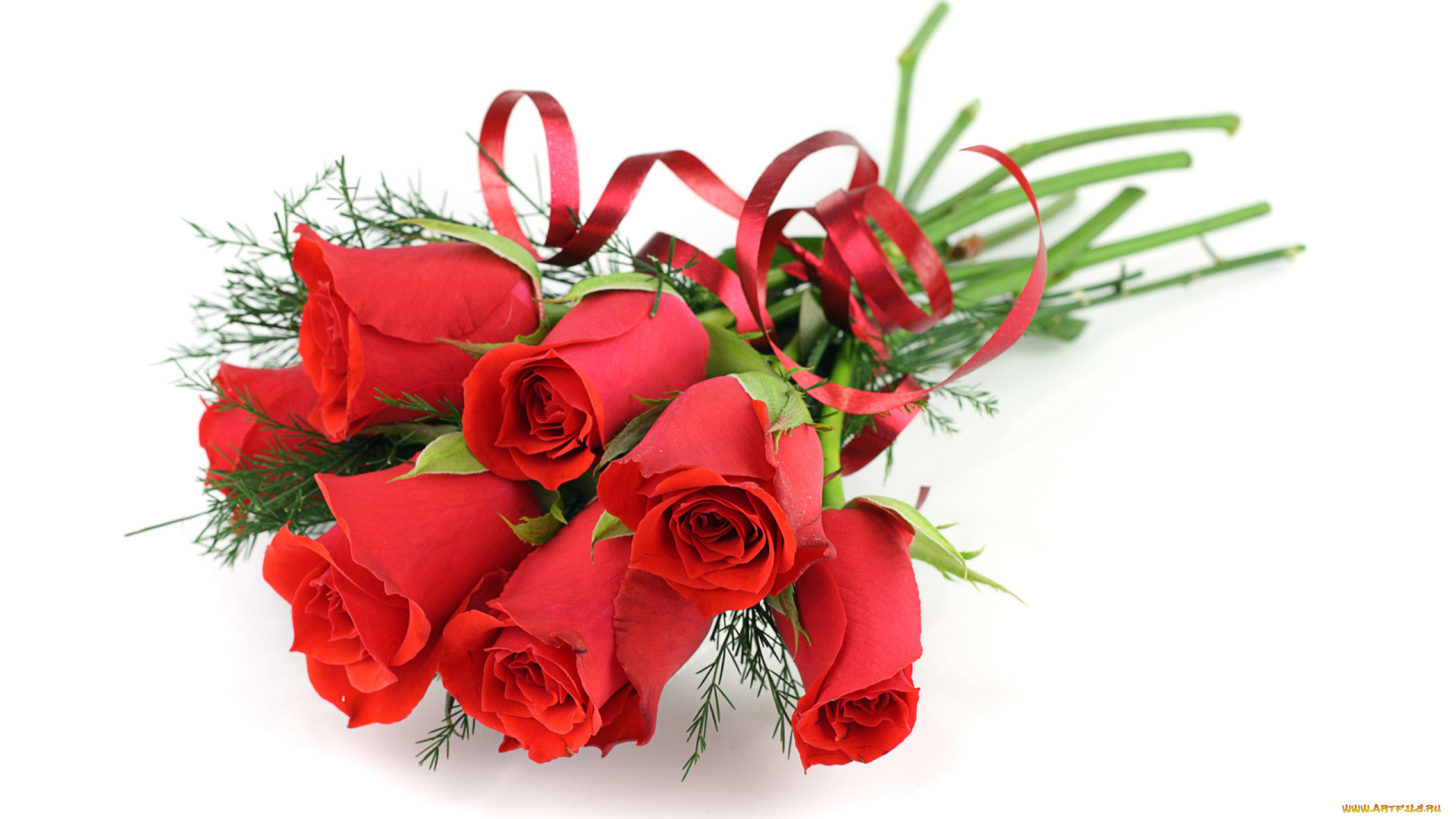 цветы, розы