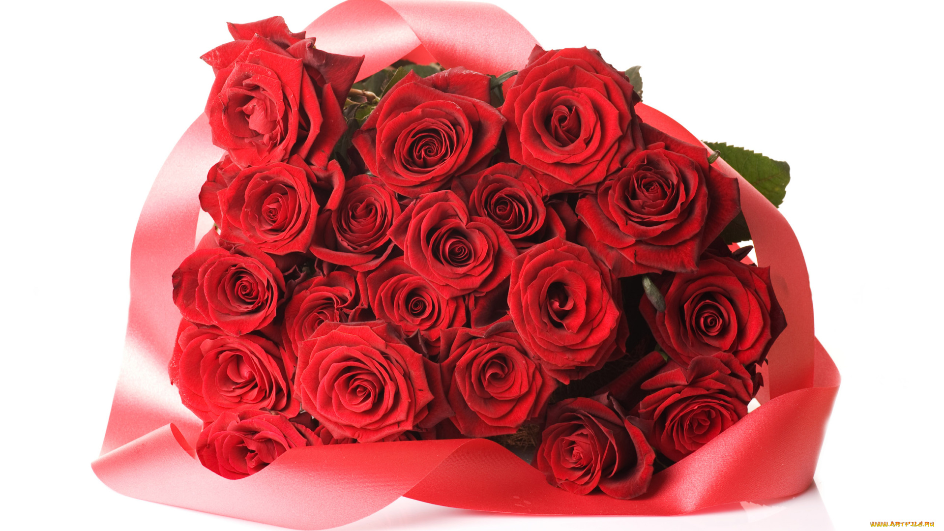 цветы, розы