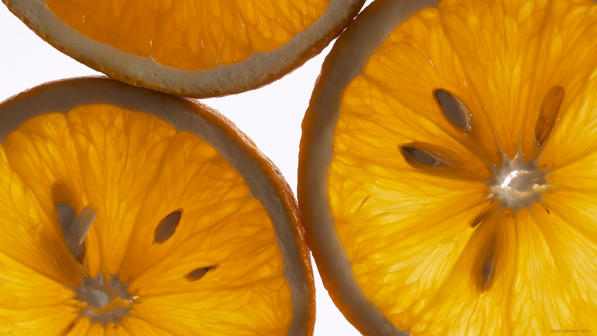 еда, цитрусы