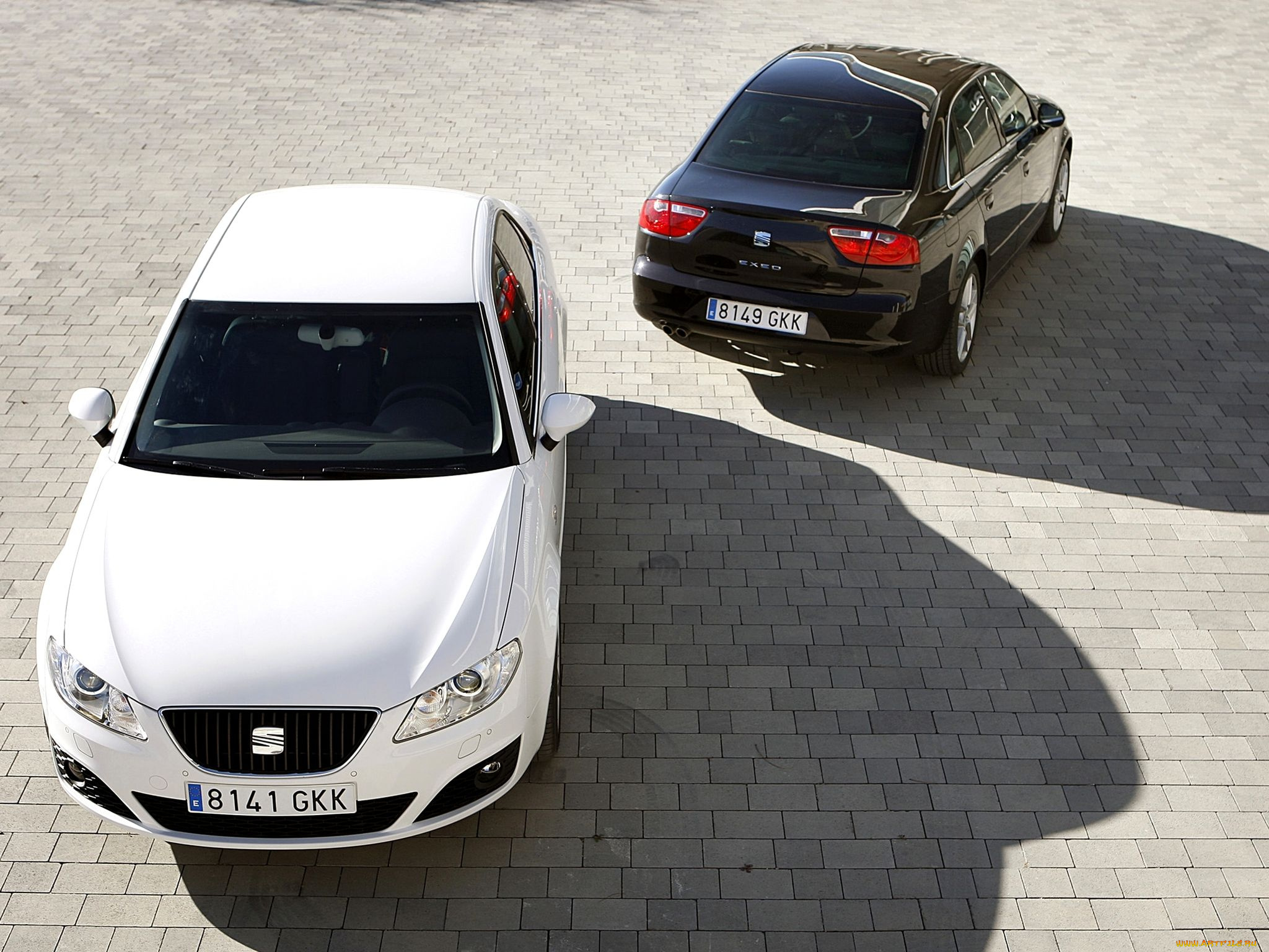 автомобили, seat