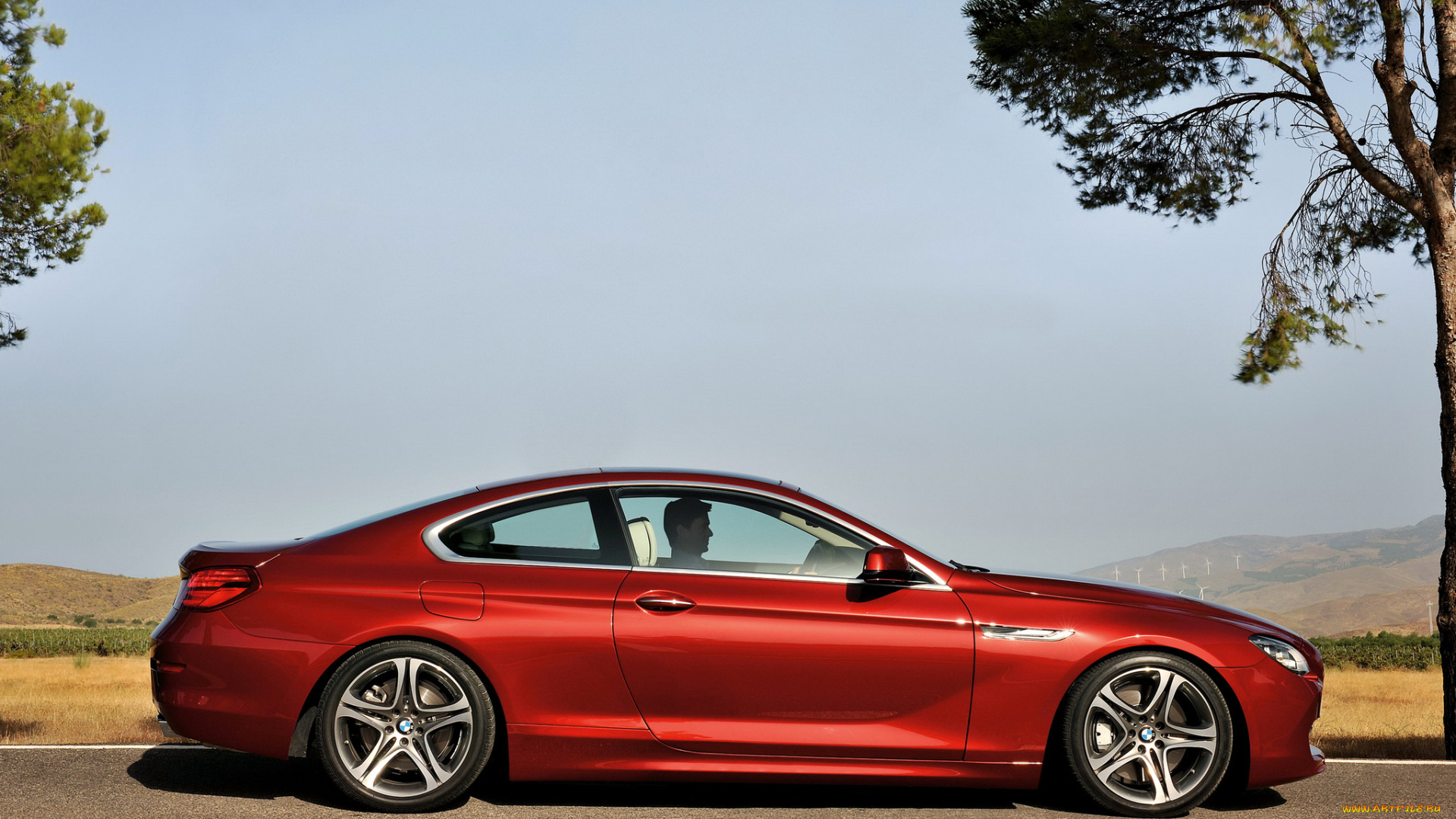 автомобили, bmw, coupe