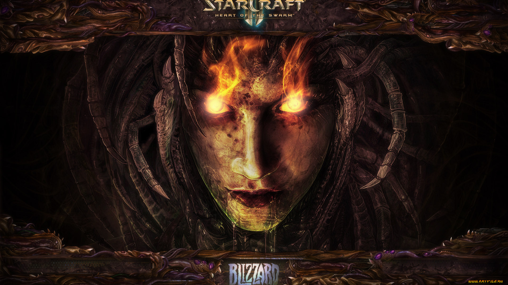 starcraft, ii, heart, of, the, swarm, видео, игры