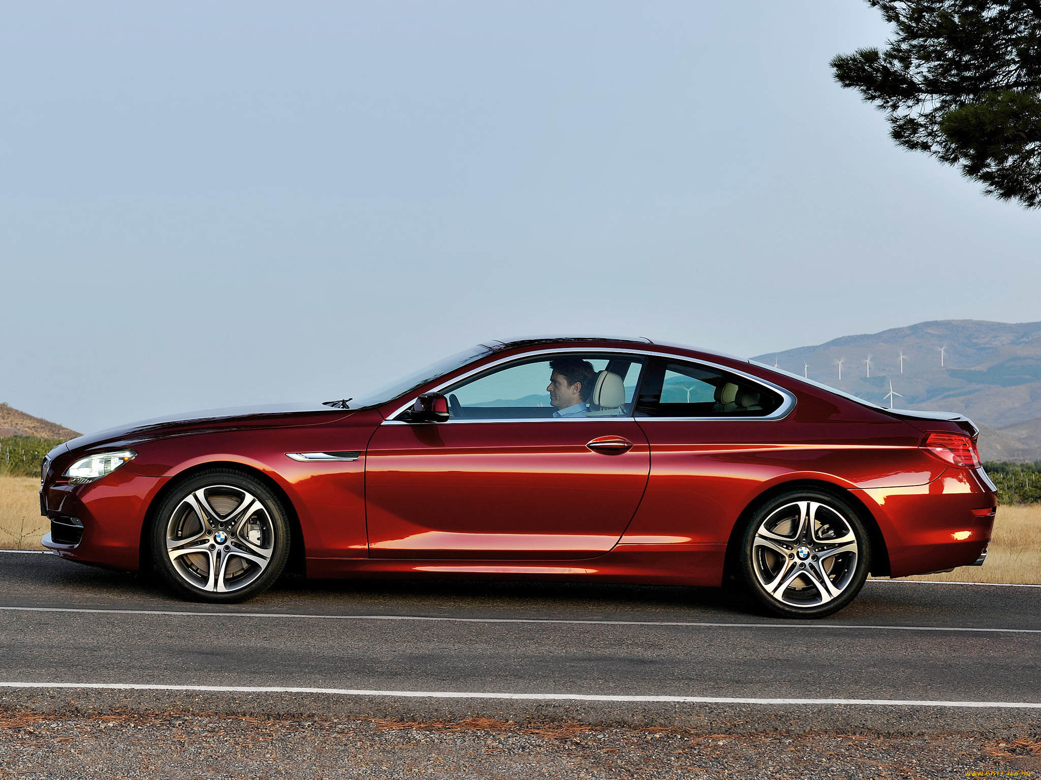 автомобили, bmw, coupe