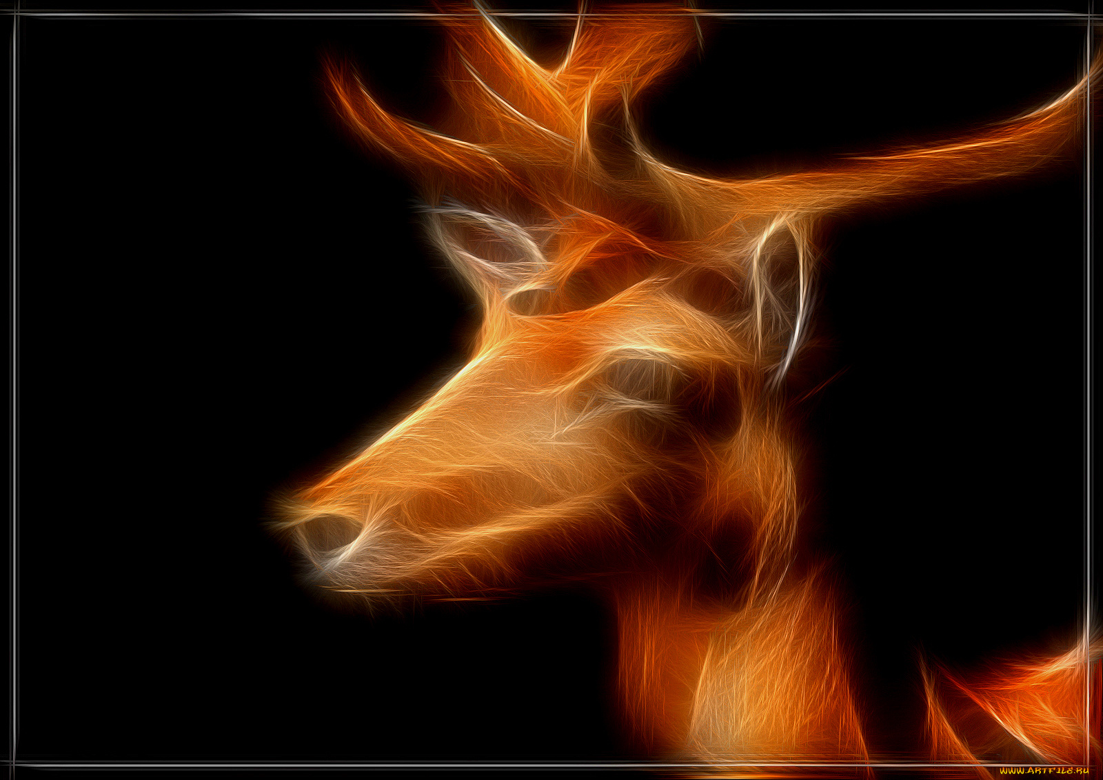 3д, графика, animals, животные, олень, фрактал