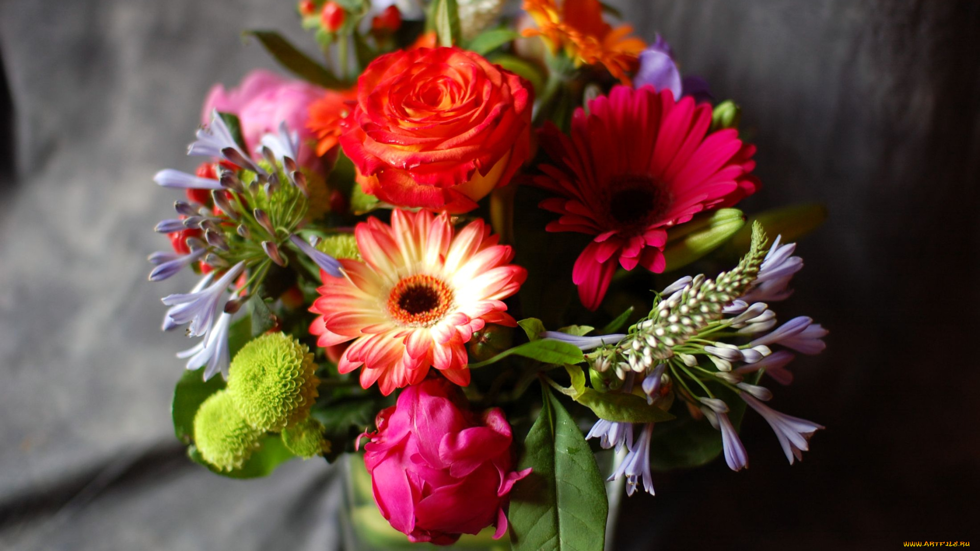 цветы, букеты, композиции, роза, агапантус, гербера, хризантема