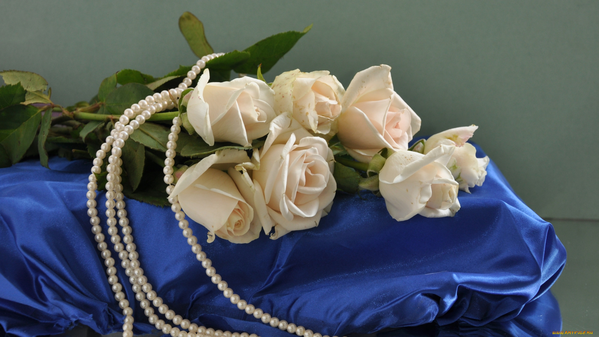 цветы, розы, жемчуг