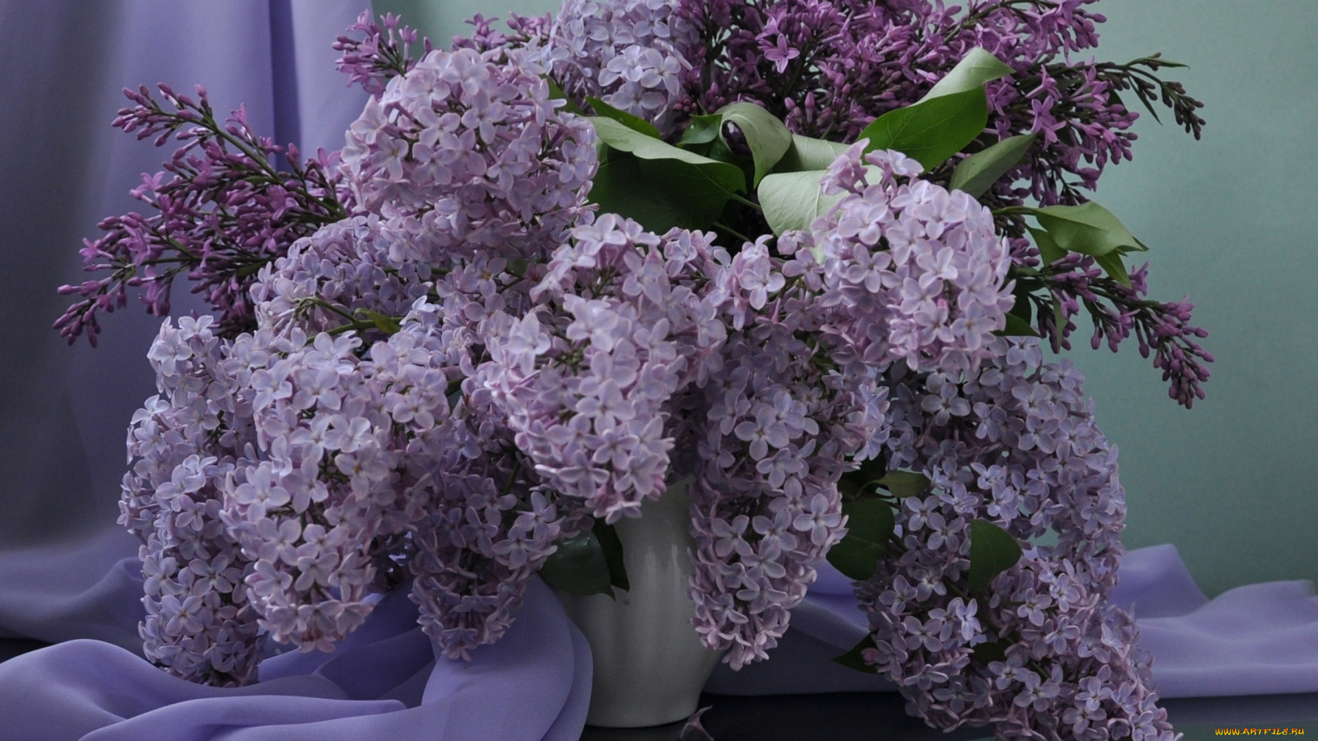цветы, сирень, натюрморт
