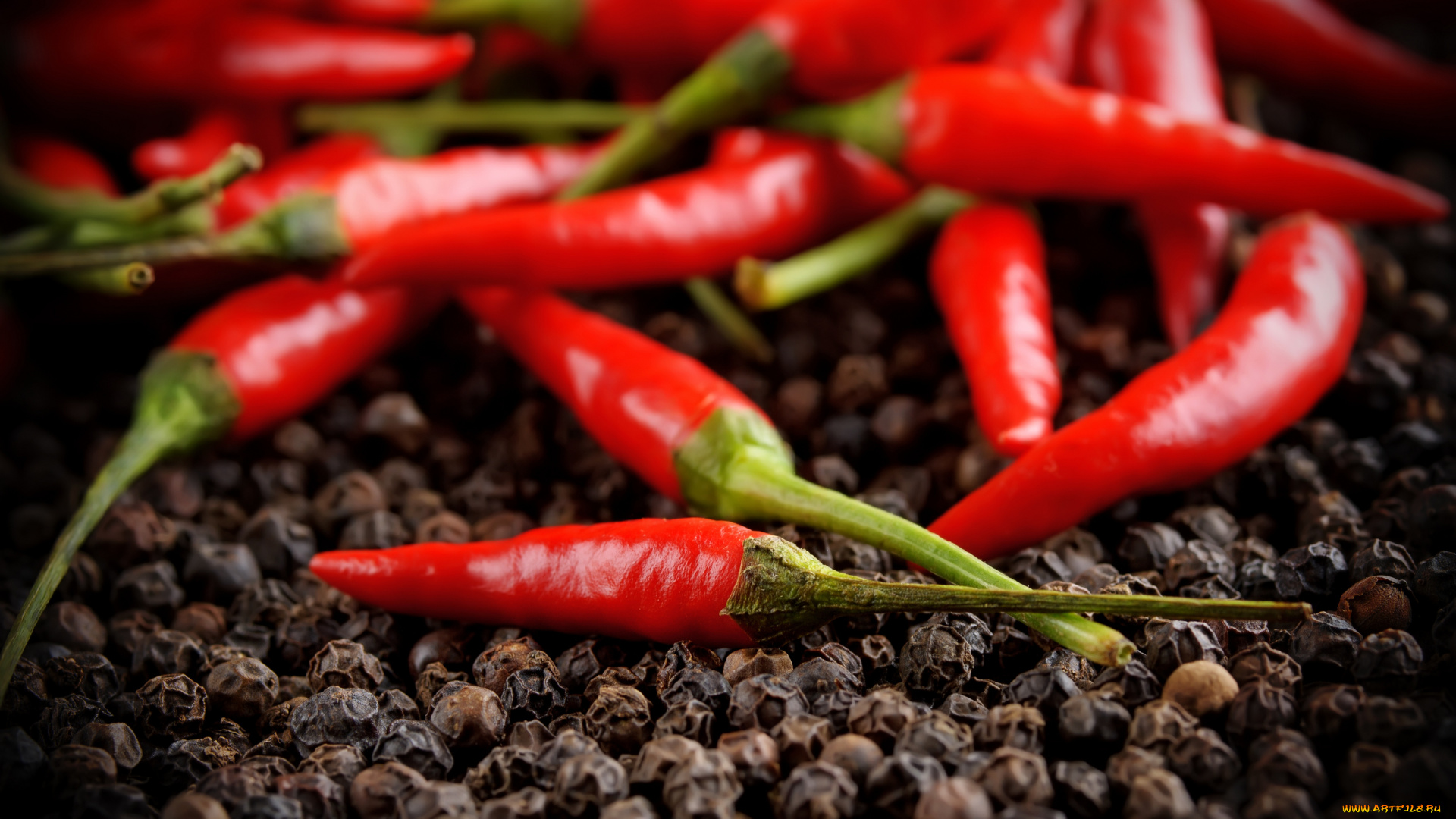 еда, перец, горошек, острый, красный, душистый